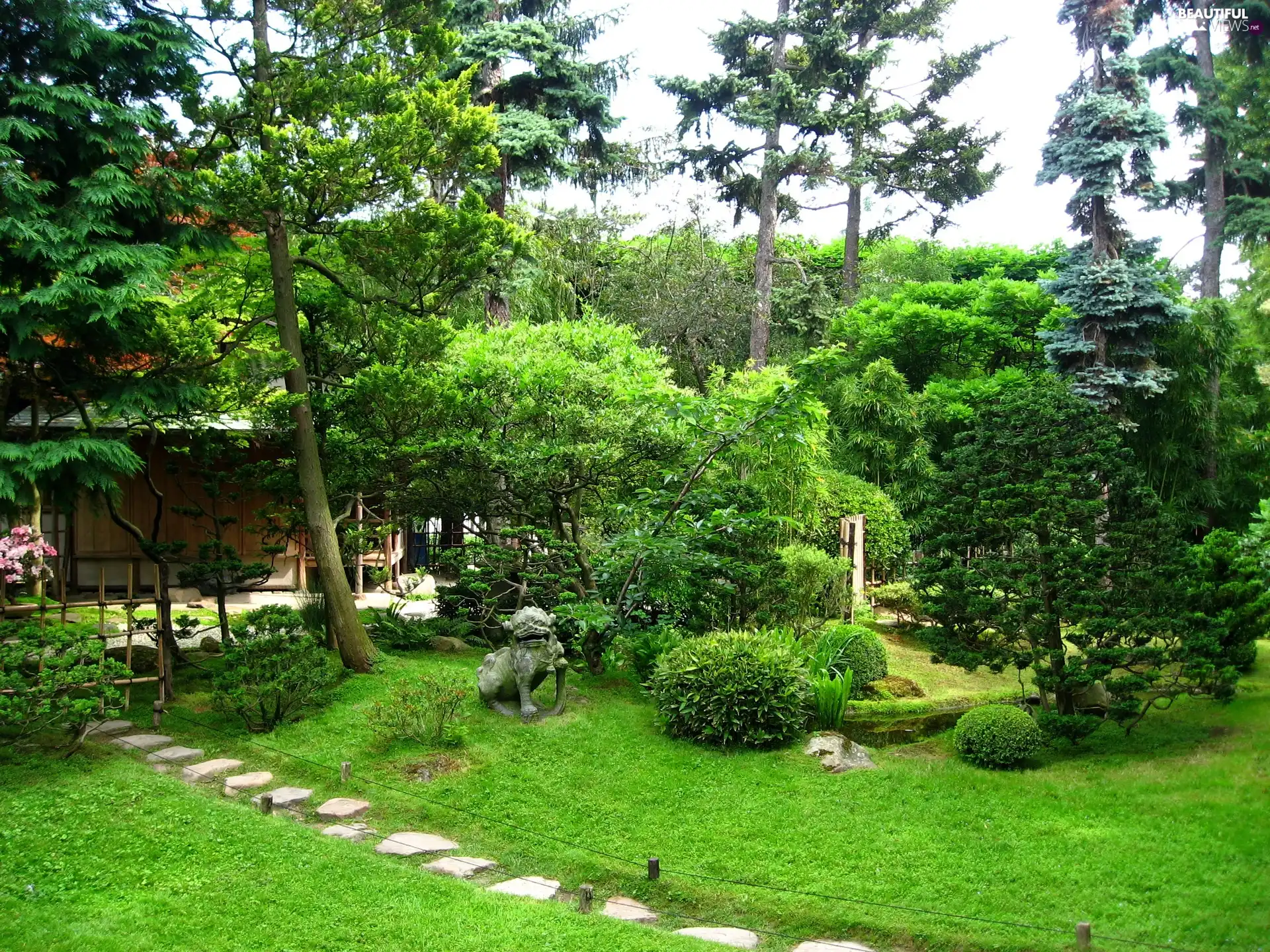 Garden, viewes, Bush, trees