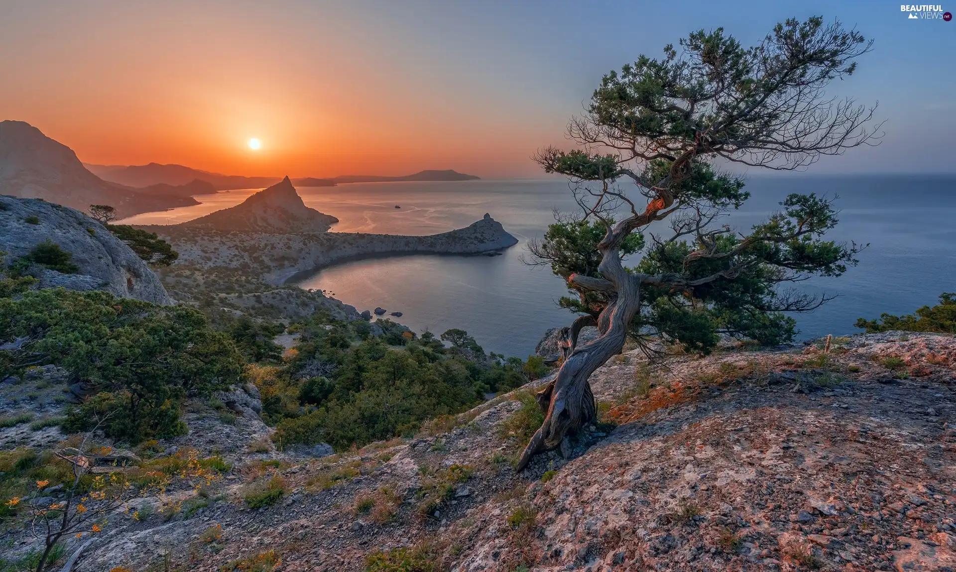 Great Sunsets, Mountains, pine, rocks, sea, trees, Bush