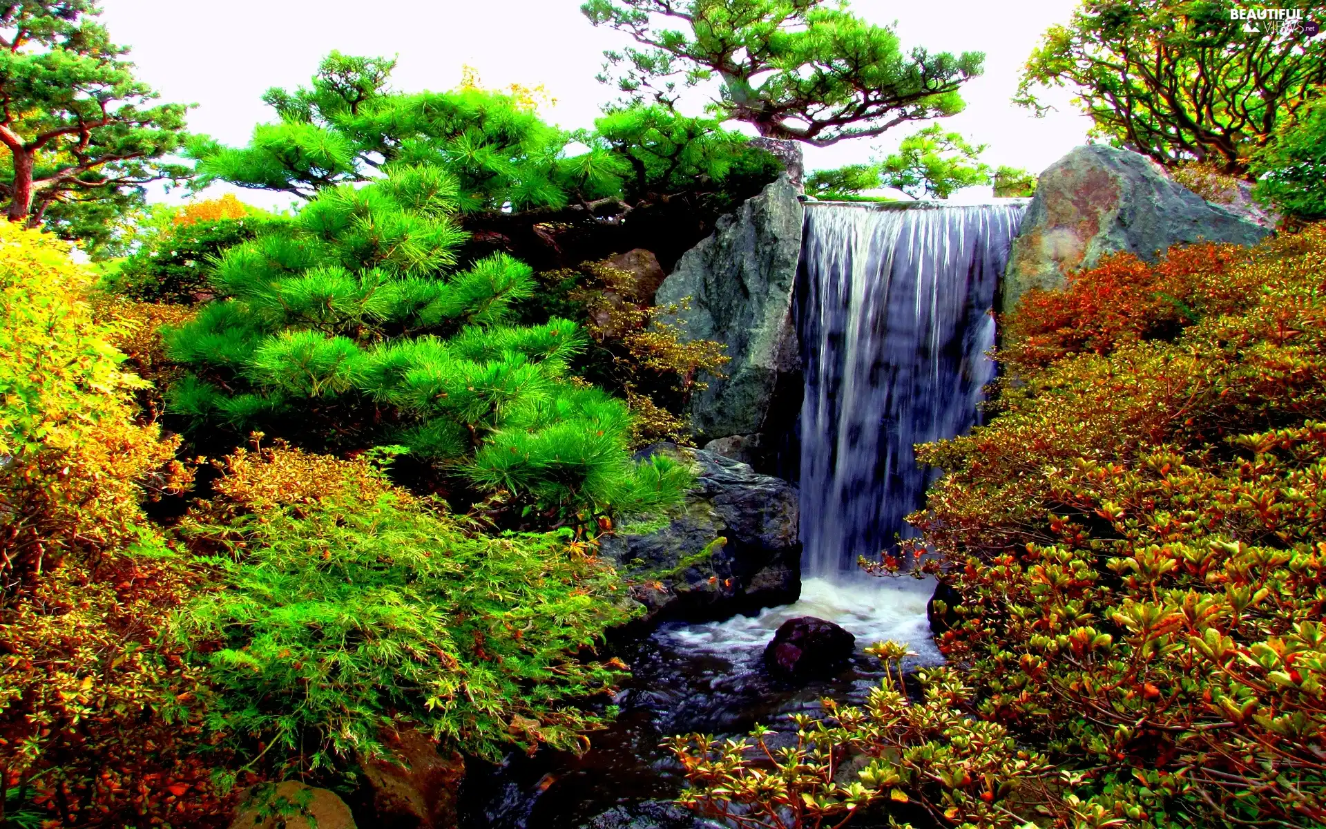 Bush, waterfall, rocks