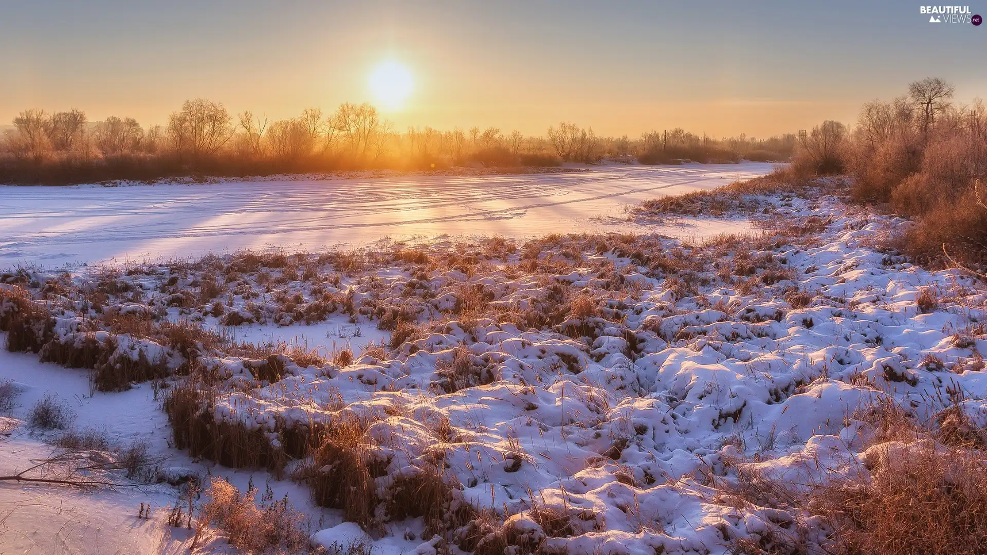 snowy, River, viewes, grass, trees, Sunrise, winter, Bush