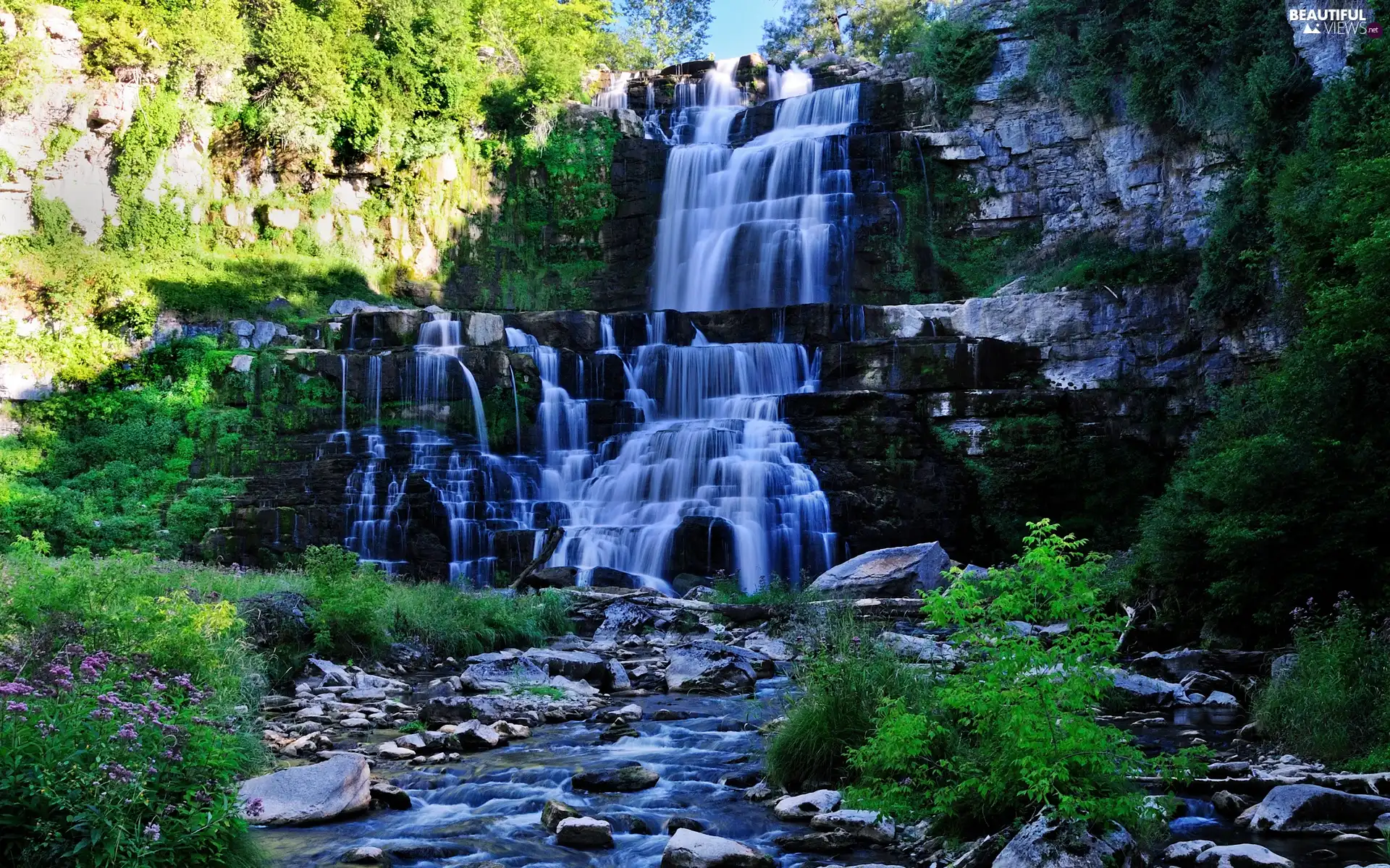 waterfall, Stones, Bush, River