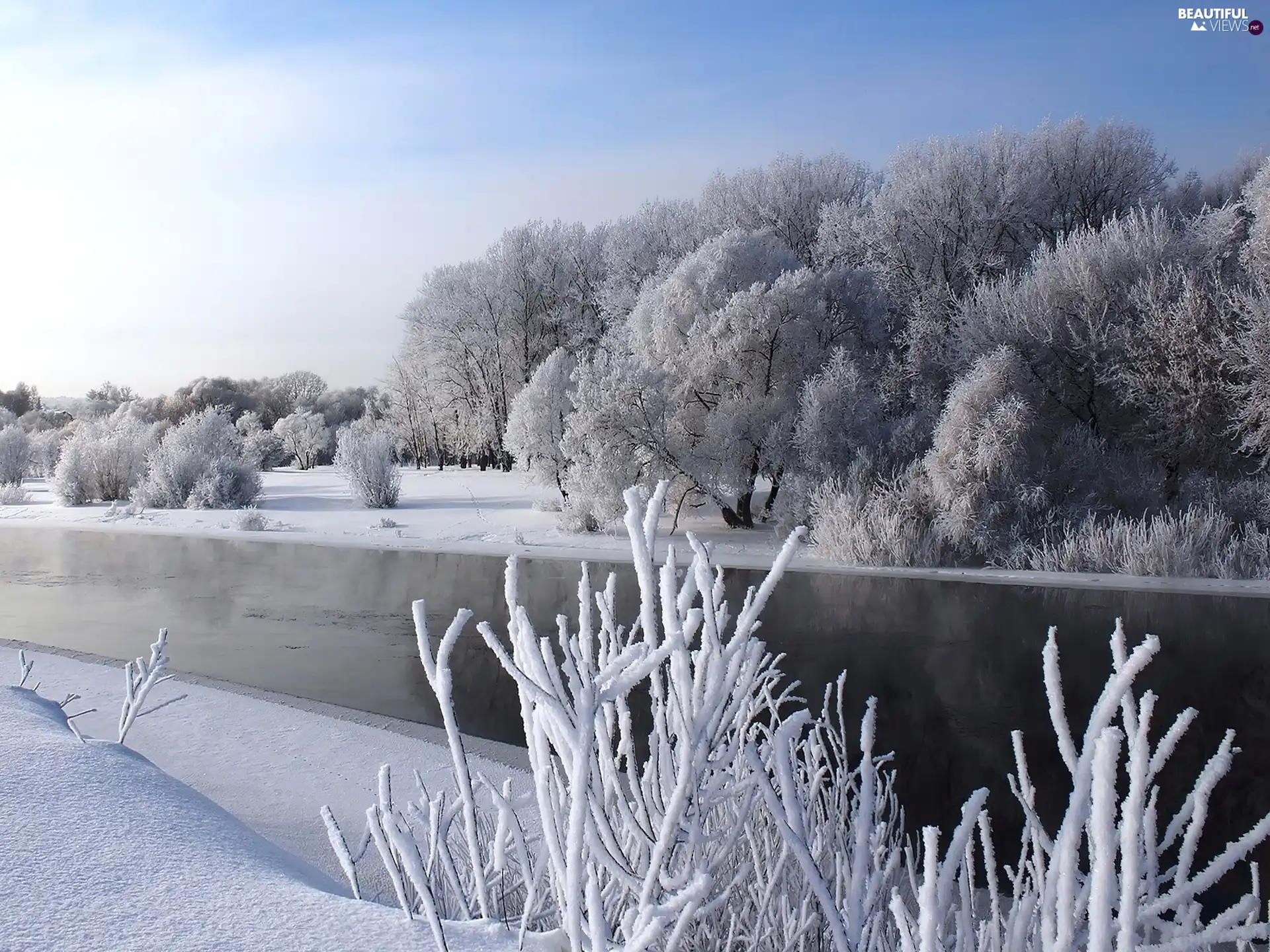 winter, frosted, Bush, River