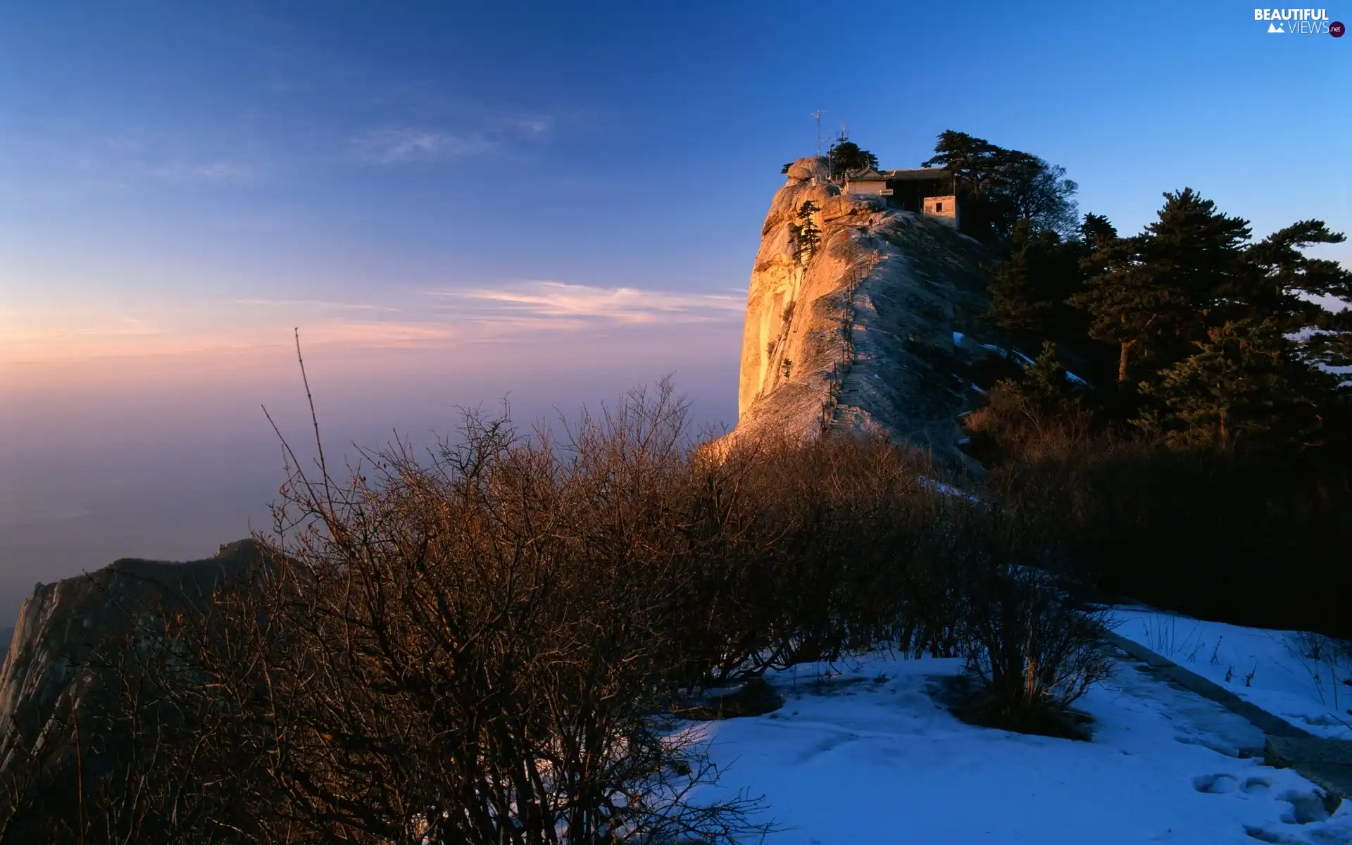 Bushes, Rocks, snow