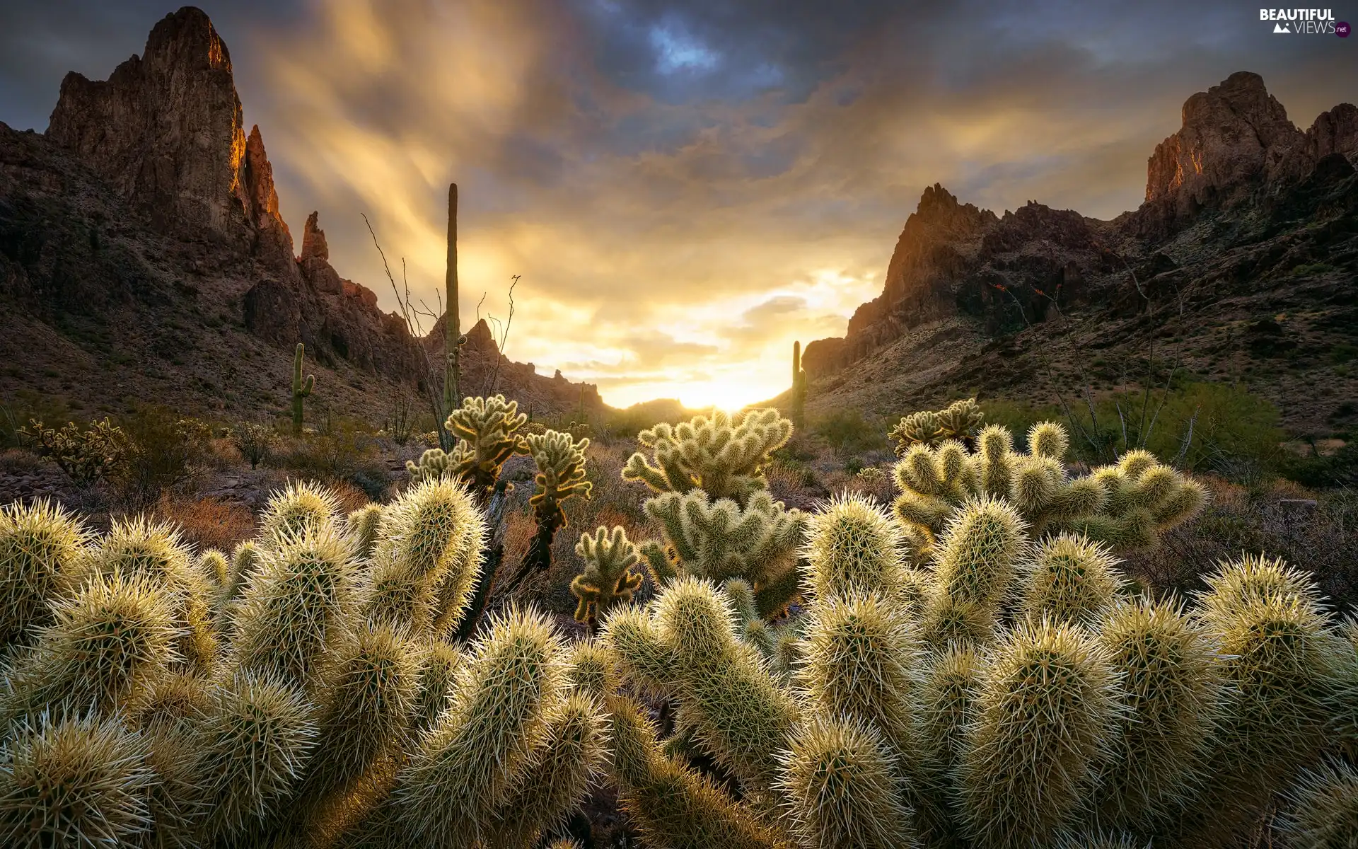 Mountains, Sunrise, clouds, Cactus