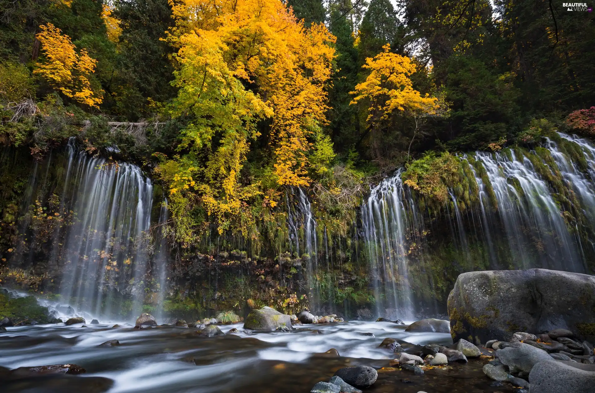 trees, Mossbrae Falls, viewes, River, State of California, The United States, autumn, Siskiyou County, Stones