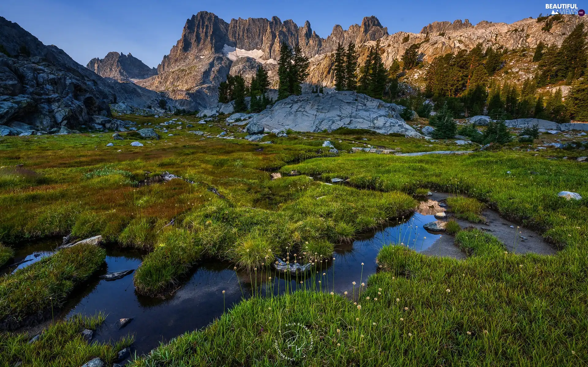 Meadow, grass, The United States, rocks, California, Sierra Nevada, Mountains, pool