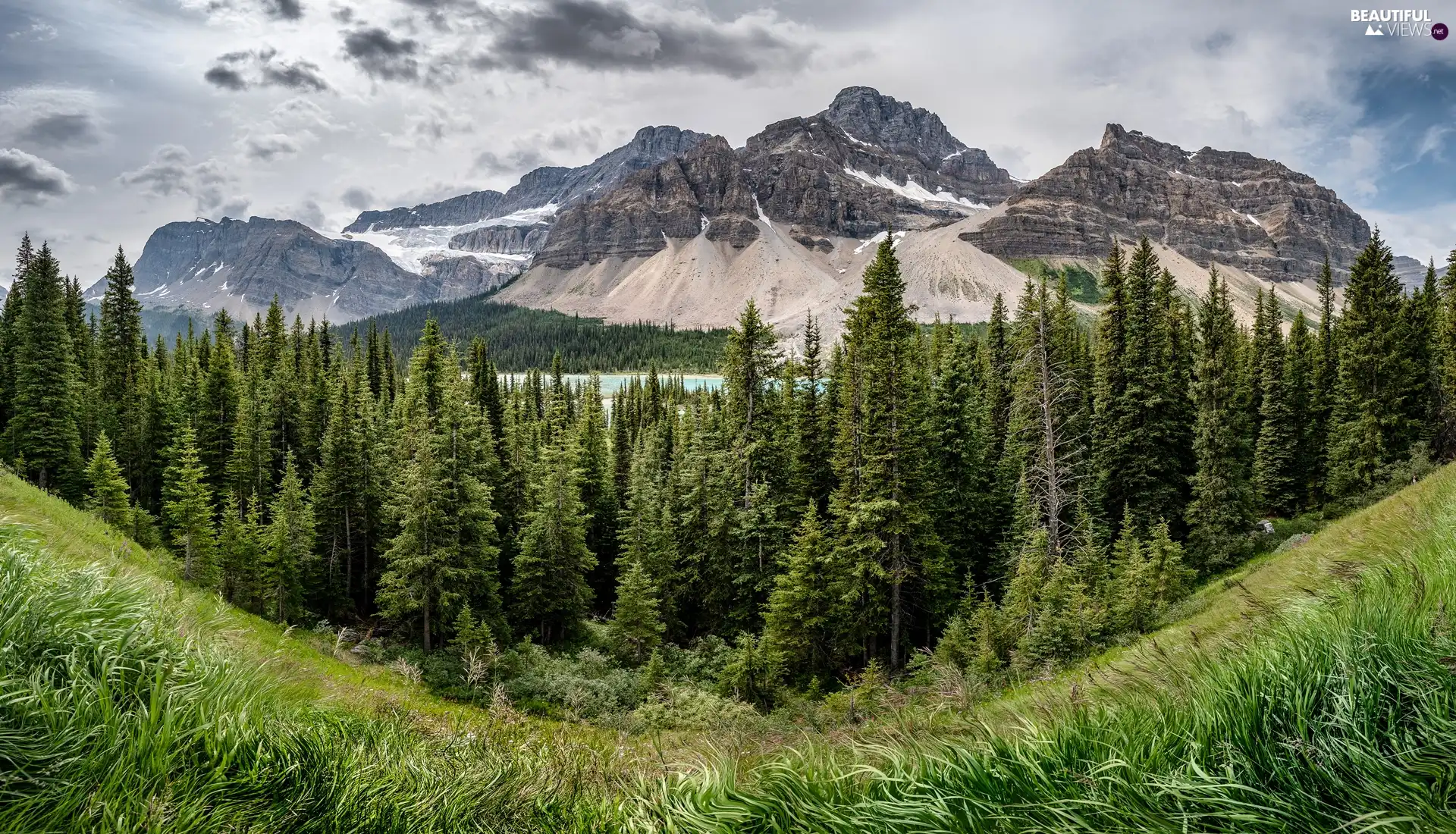 Bow Lake, trees, Canada, viewes, Province of Alberta, Mountains, Banff National Park, clouds