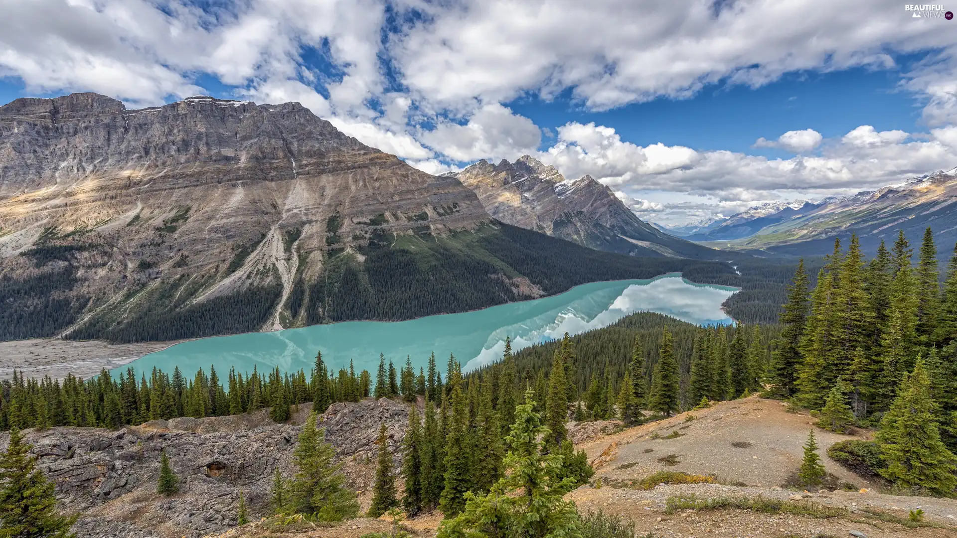 Peyto Lake, woods, Canada, trees, Alberta, Mountains Canadian Rockies, Banff National Park, viewes