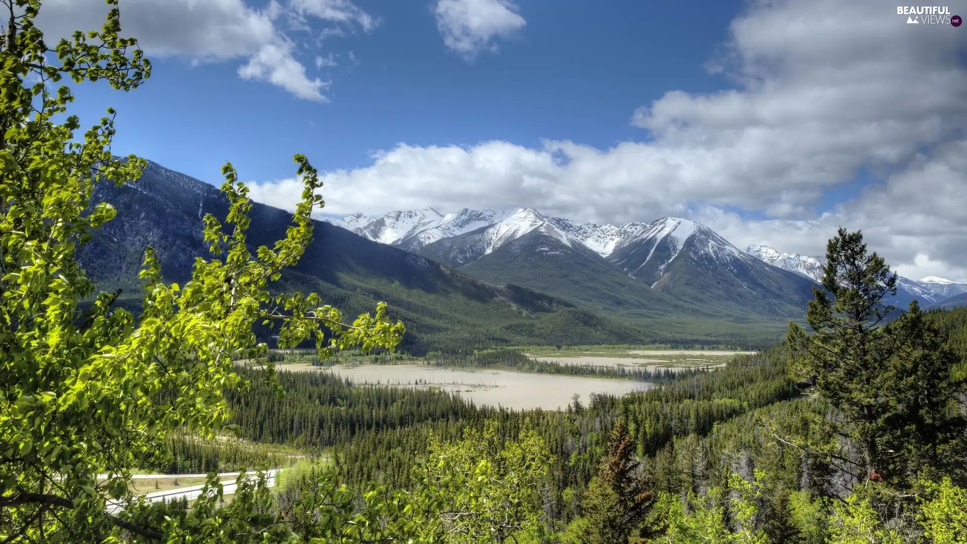 Mountains, viewes, Canada, trees