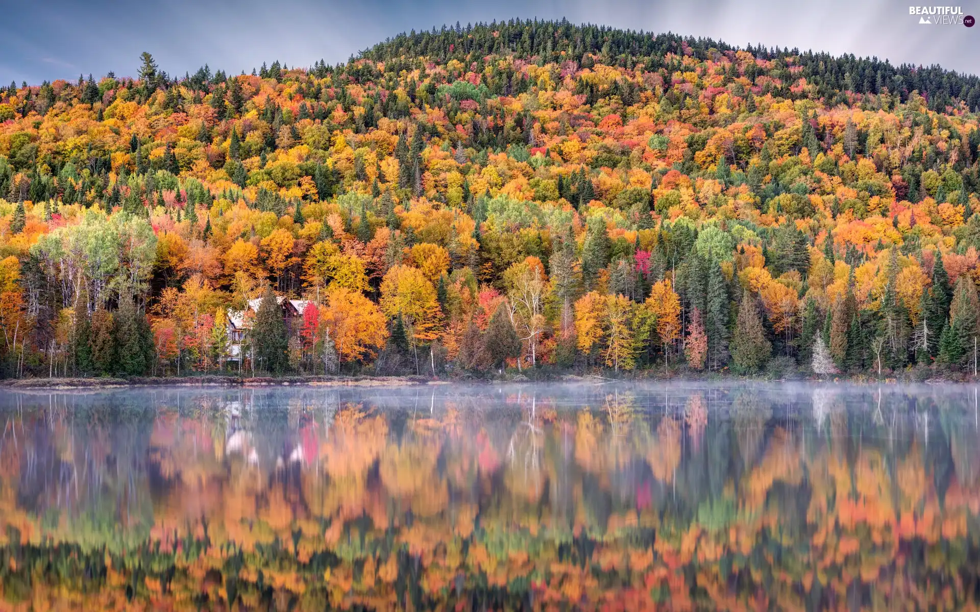 viewes, La Mauricie National Park, lake, autumn, house, Canada, Quebec, trees, forest, reflection, Fog