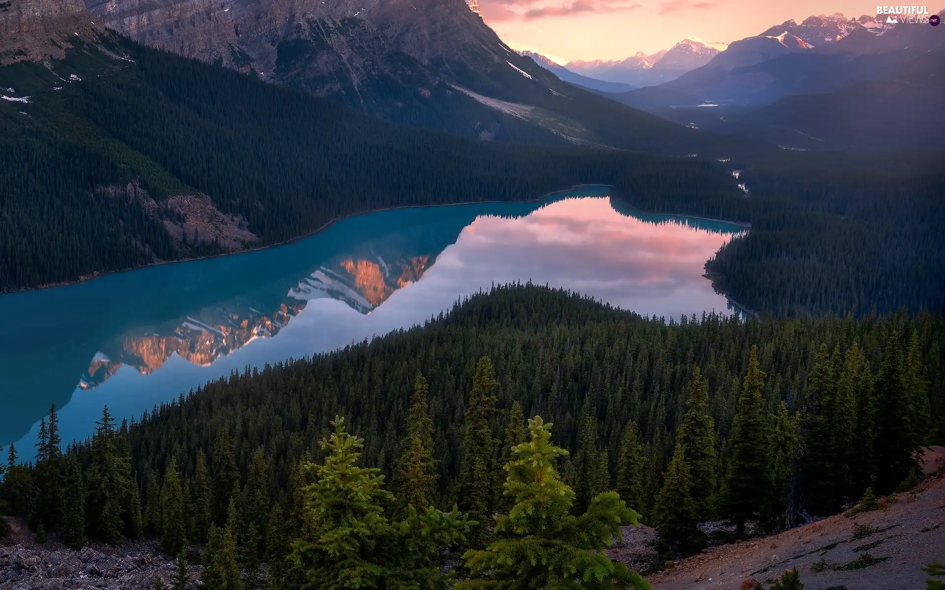 Banff National Park, Canada, Peyto Lake, Mountains Canadian Rockies, Great Sunsets, reflection, viewes, woods, trees