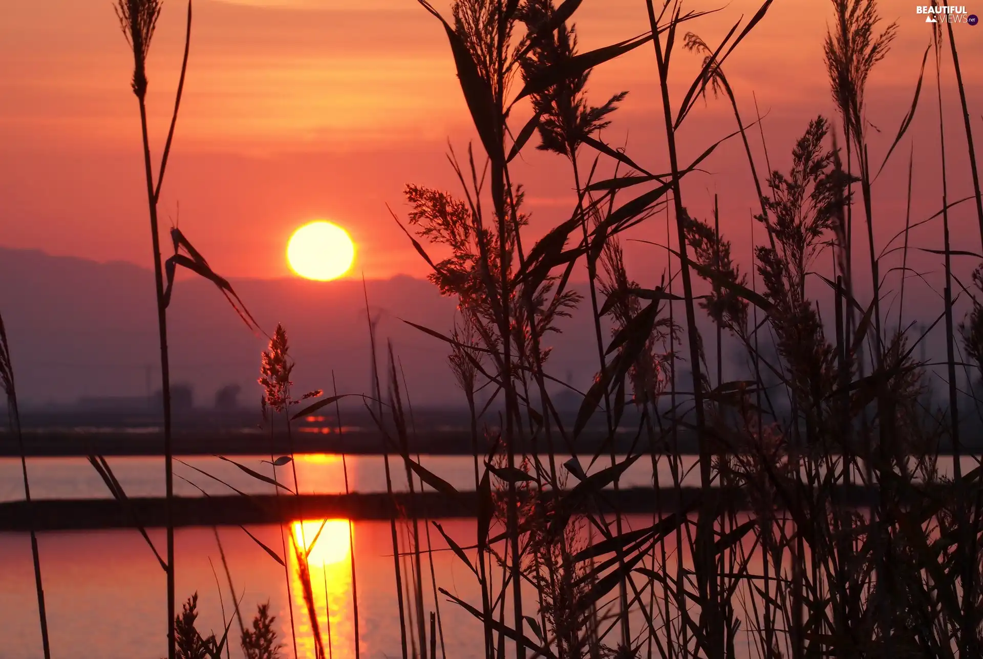 River, sun, cane, west