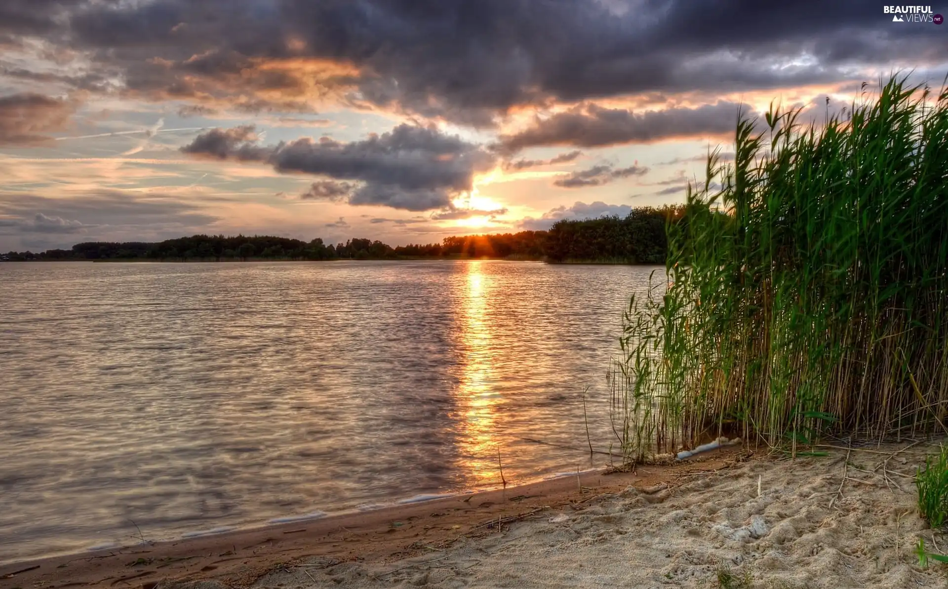cane, lake, Sunrise
