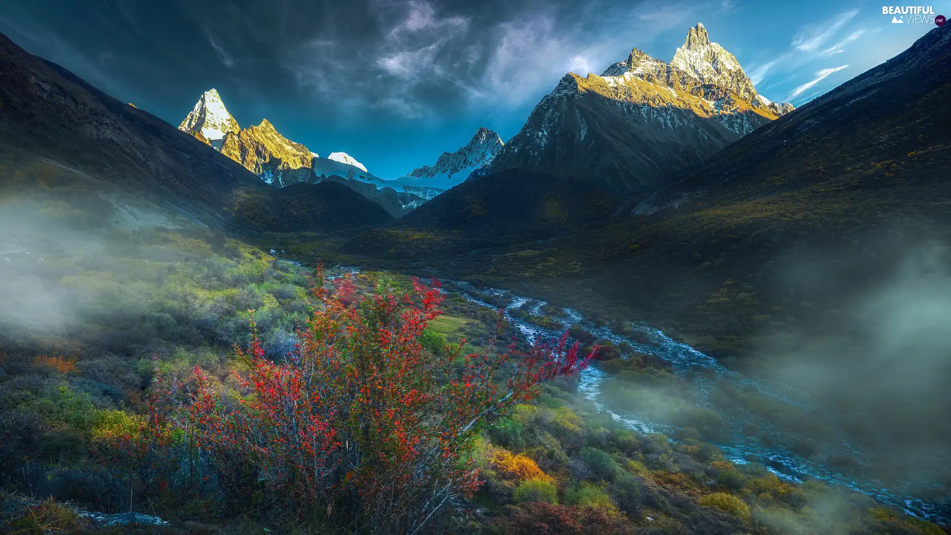 Plants, canyon, Mountains, flux, Fog