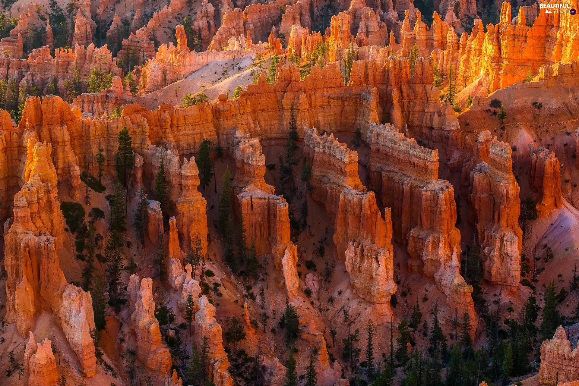 Bryce Canyon National Park, The United States, trees, viewes, canyon, Utah State