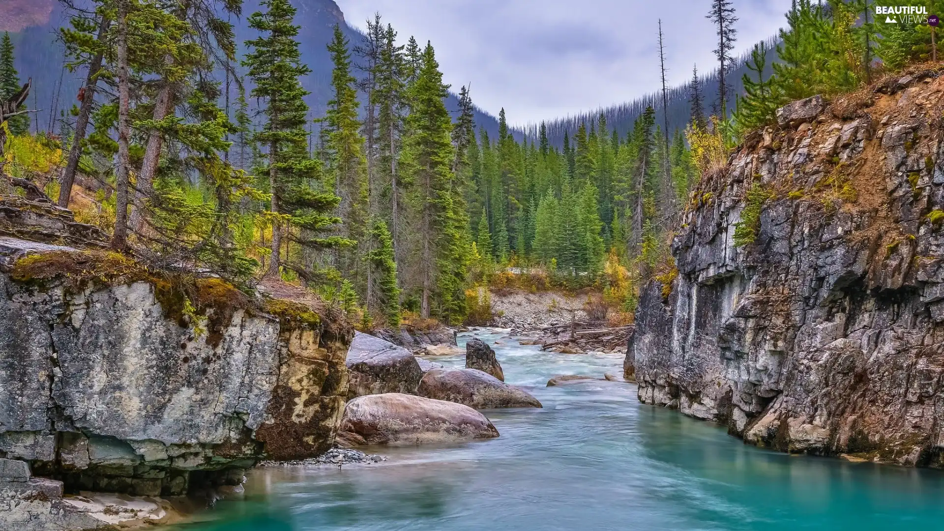 Tokumm Creek, Kootenay National Park, Marble Canyon Provincial Park, River, Mountains, Stones, viewes, Canada, Province of British Columbia, trees, rocks