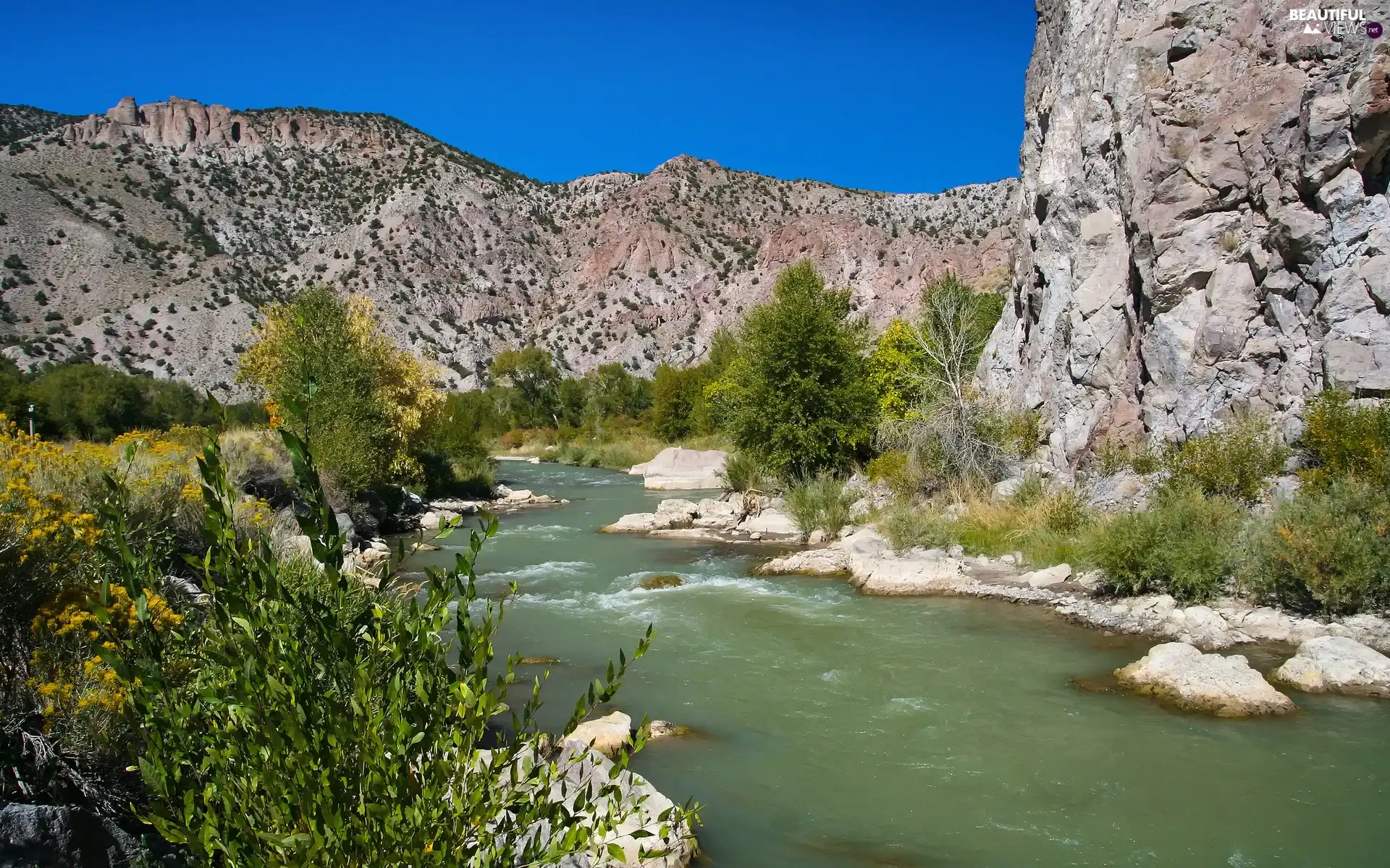 canyon, River, scrub