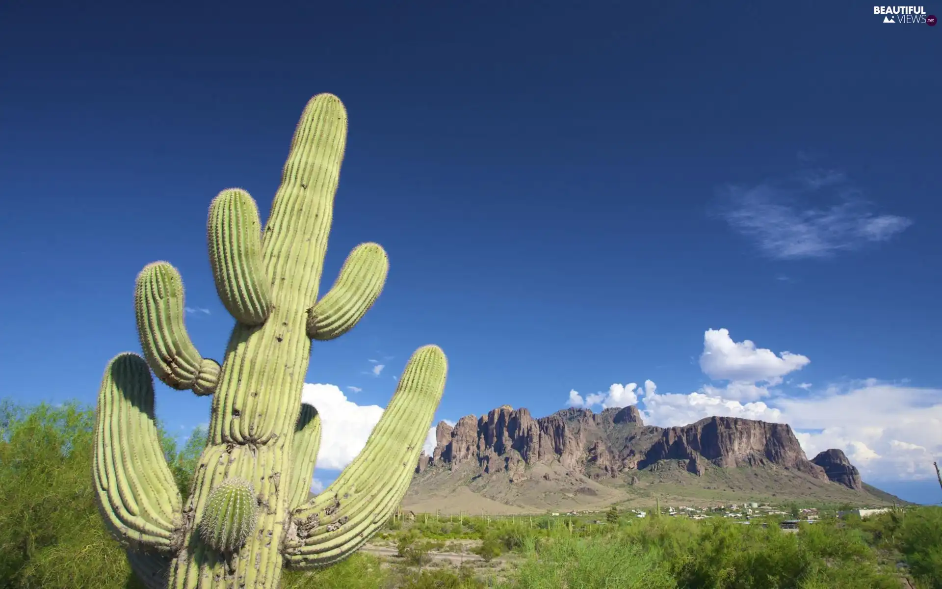 canyon, Cactus, Sky