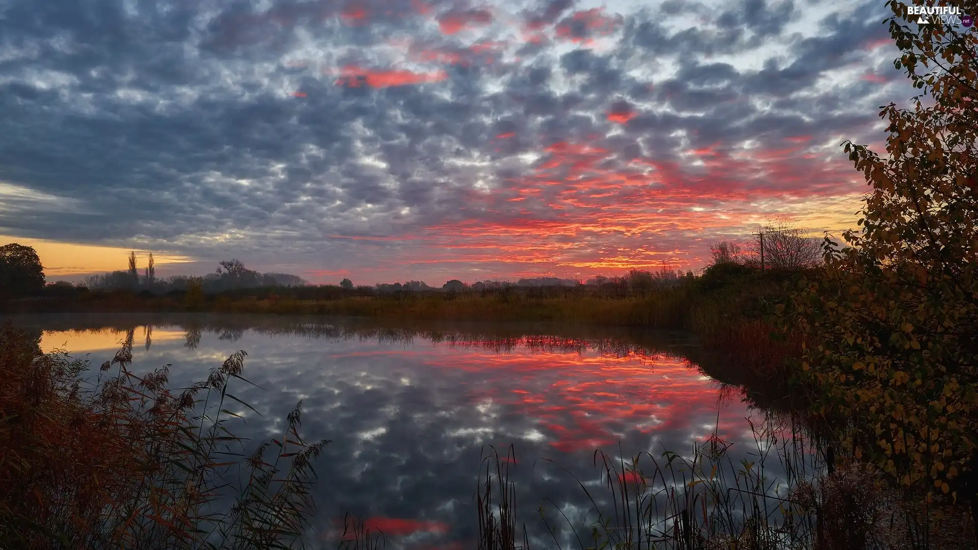 viewes, Sunrise, color, rushes, Sky, Pond - car, clouds, reflection, Plants, trees
