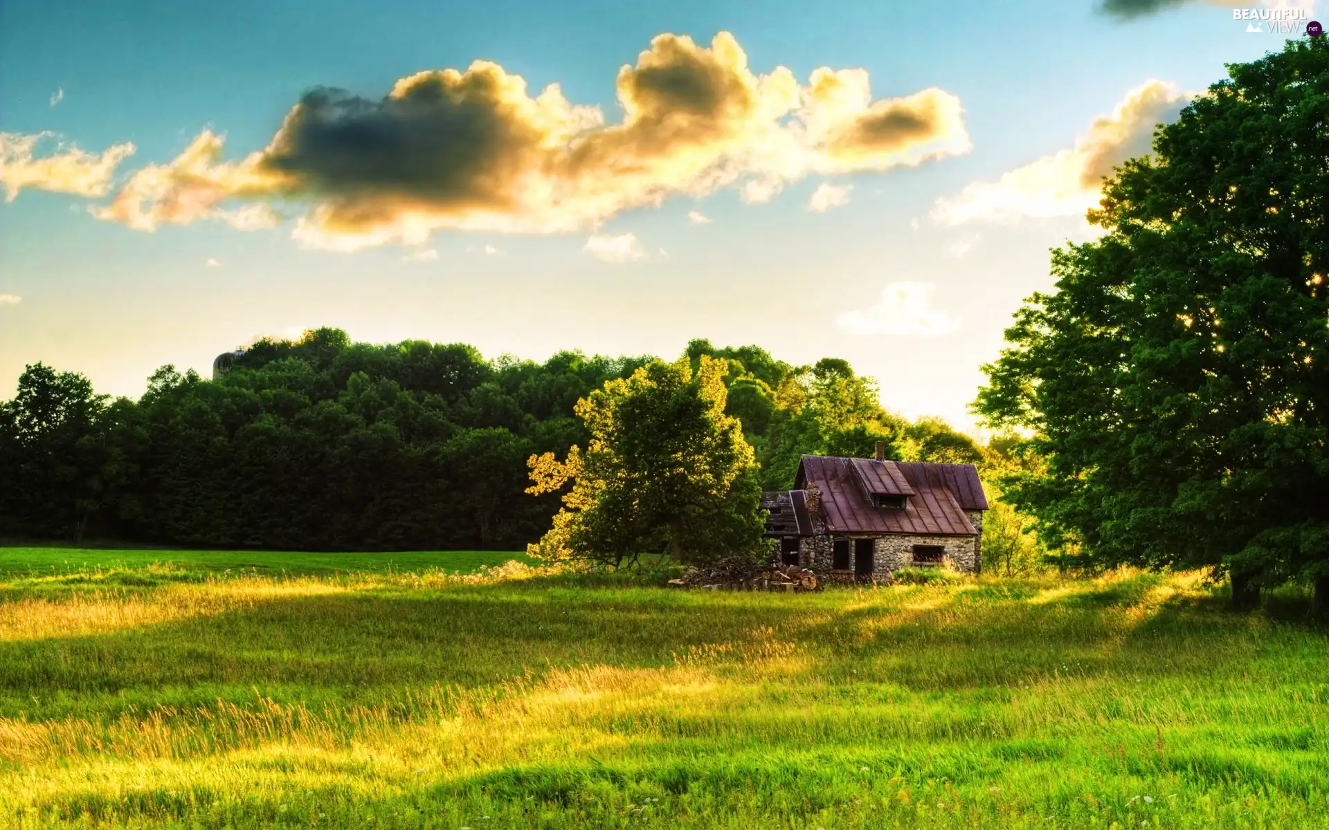 green, Home, car in the meadow