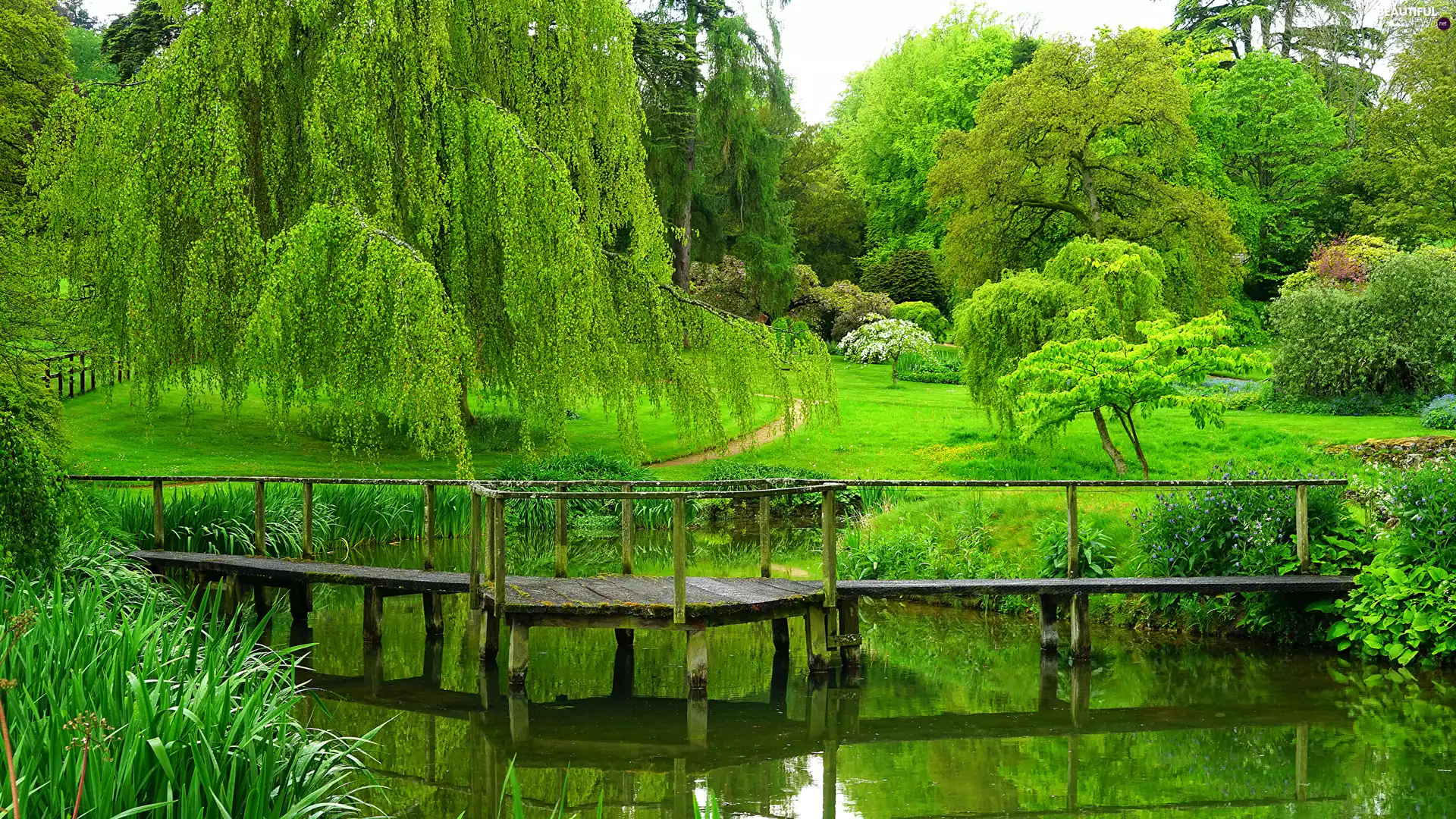 trees, viewes, Pond - car, Platform, Park