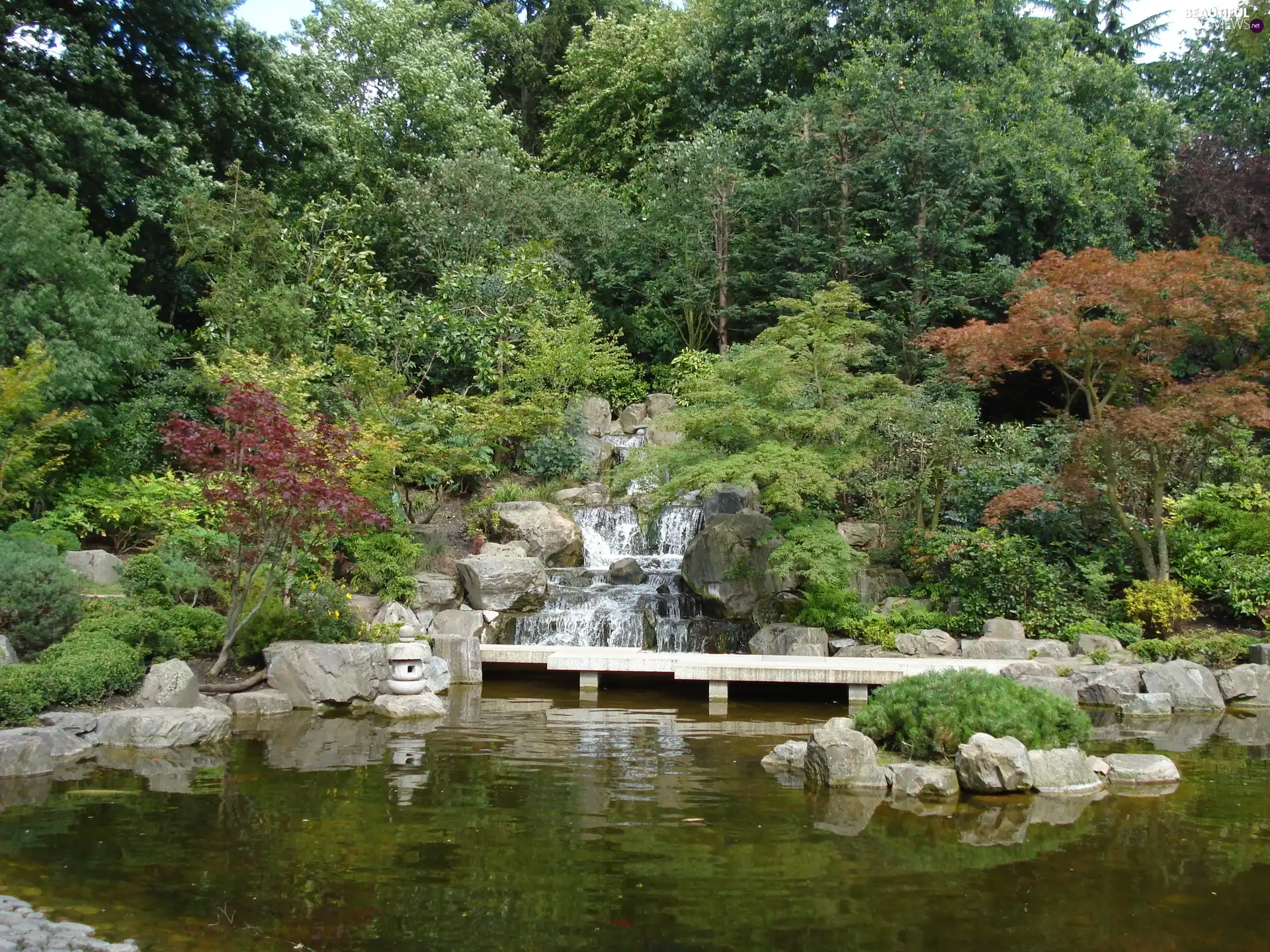 Garden, Pond - car