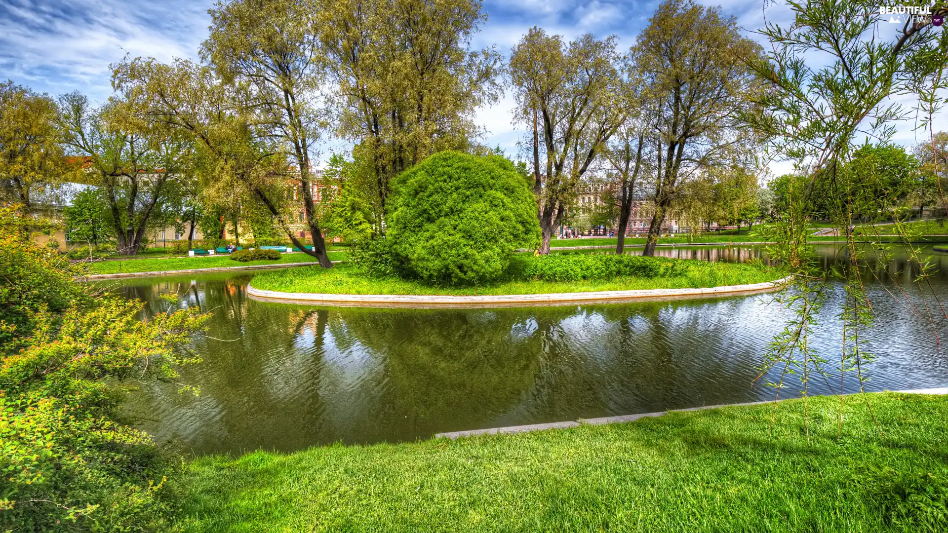 trees, viewes, Pond - car, Park, summer