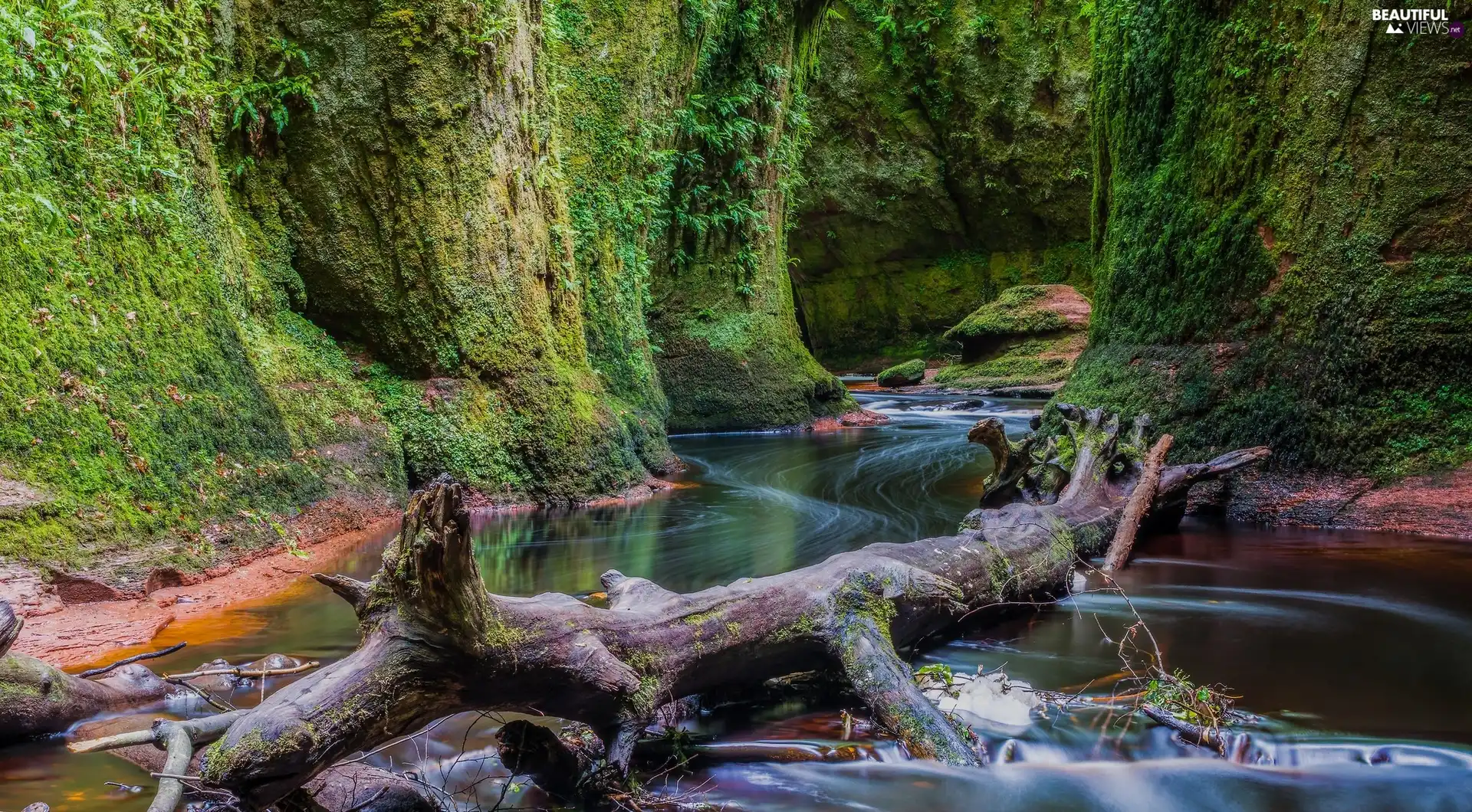 Carnock Burn River, Finnich Glen, trunk, rocks, Scotland, withered, green