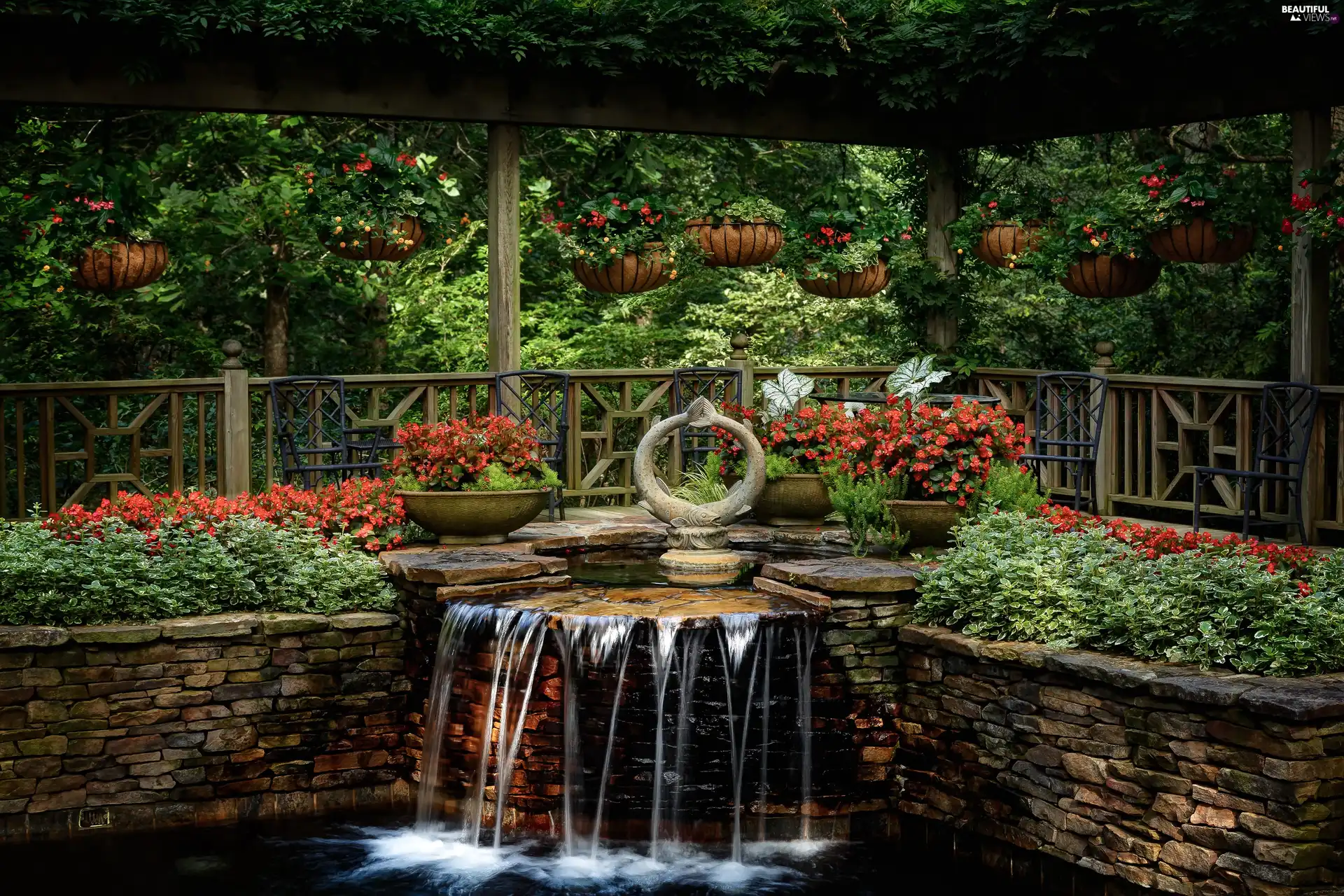 Garden, Flowers, begonia, cascade