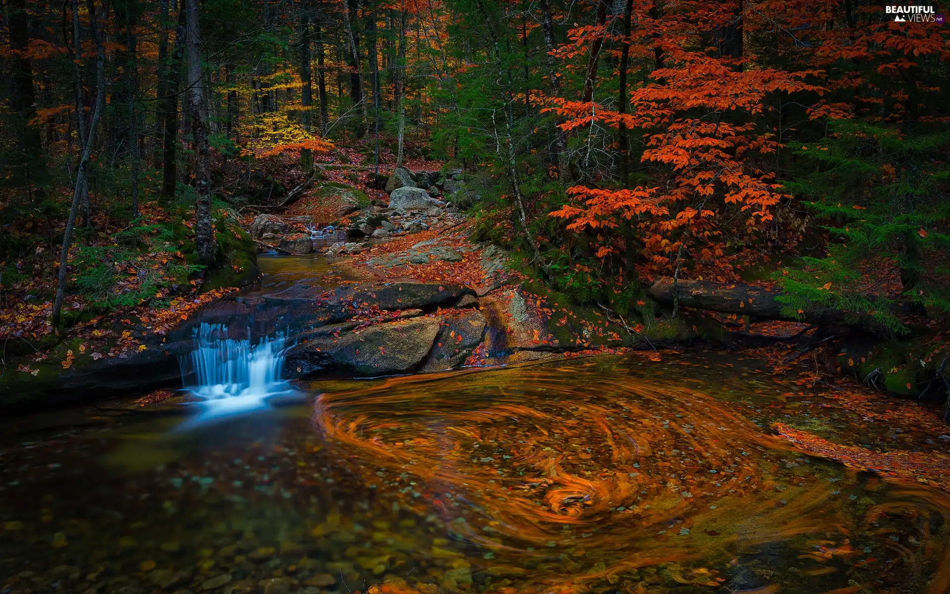 stream, autumn, cascade, Rocks, River, forest
