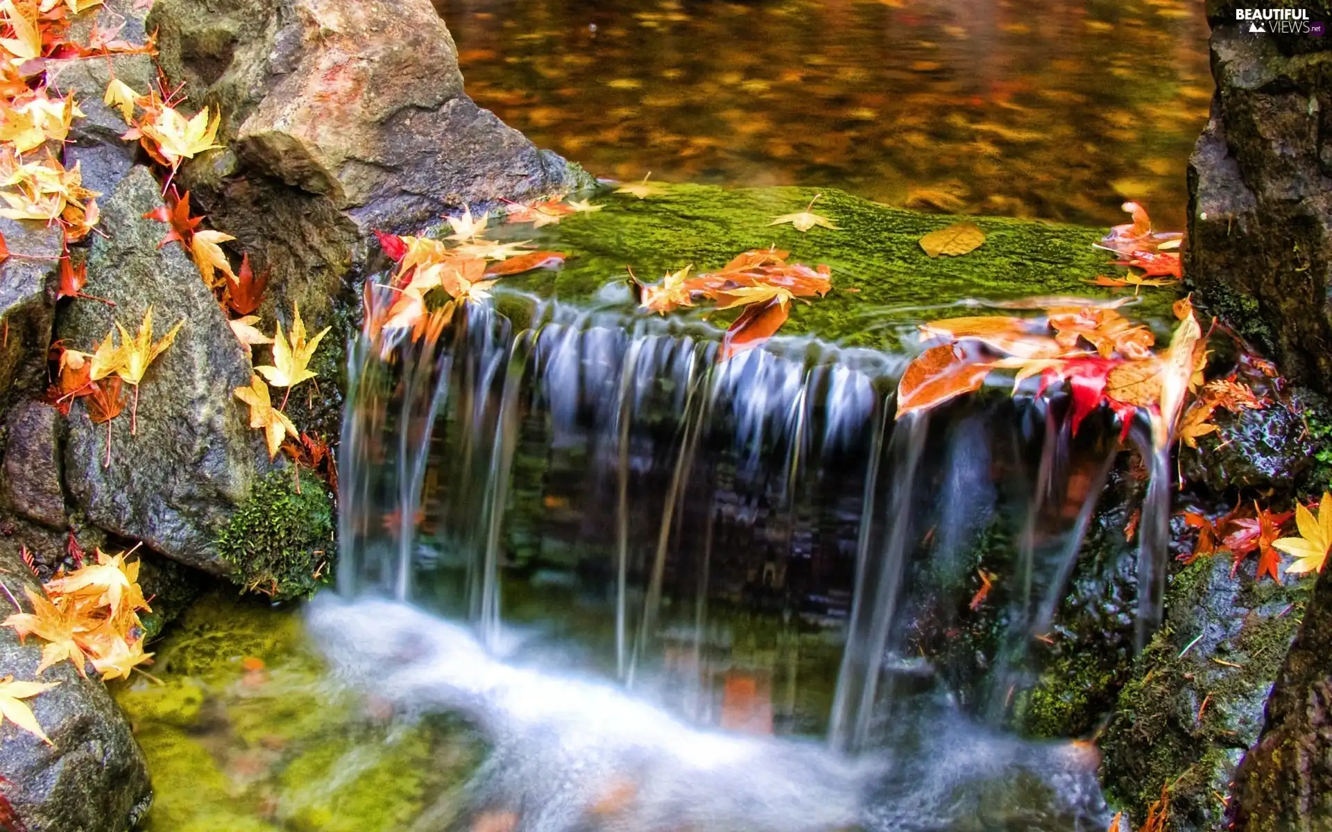 cascade, Leaf, water