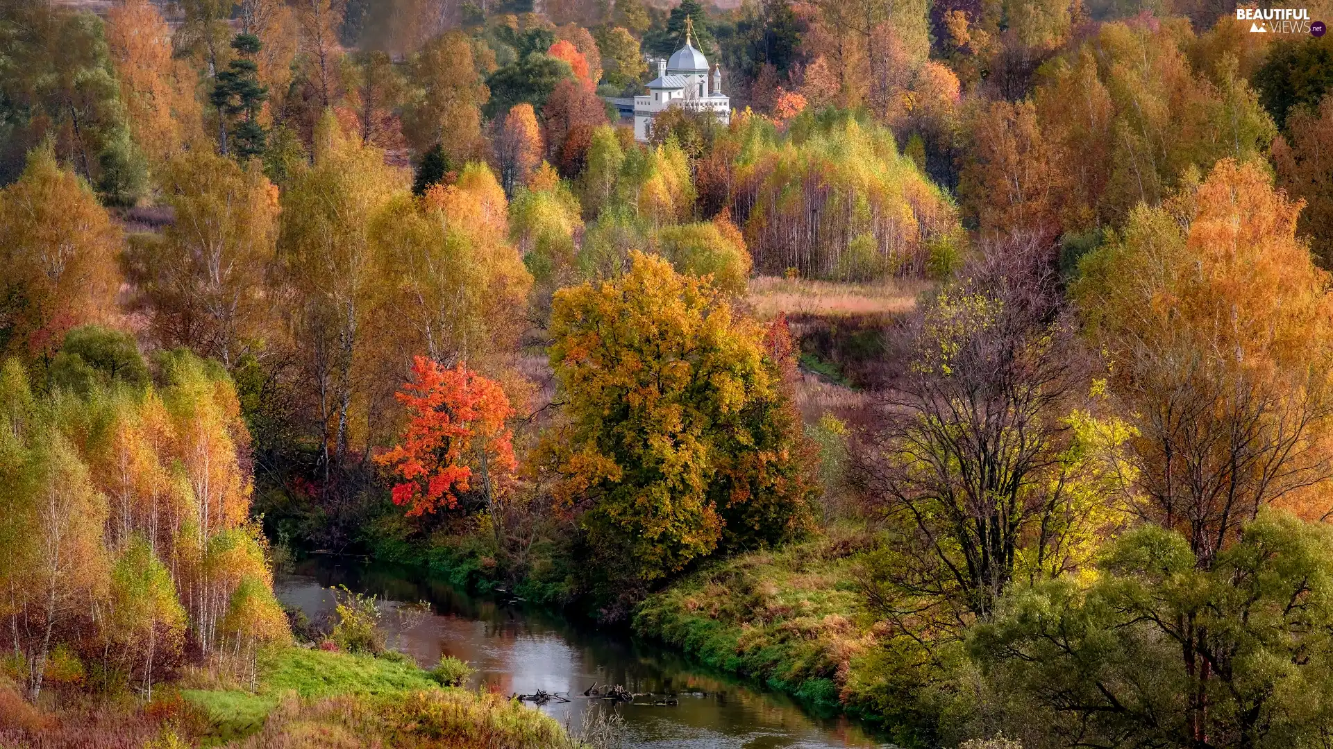 trees, forest, River, Cerkiew, viewes, autumn