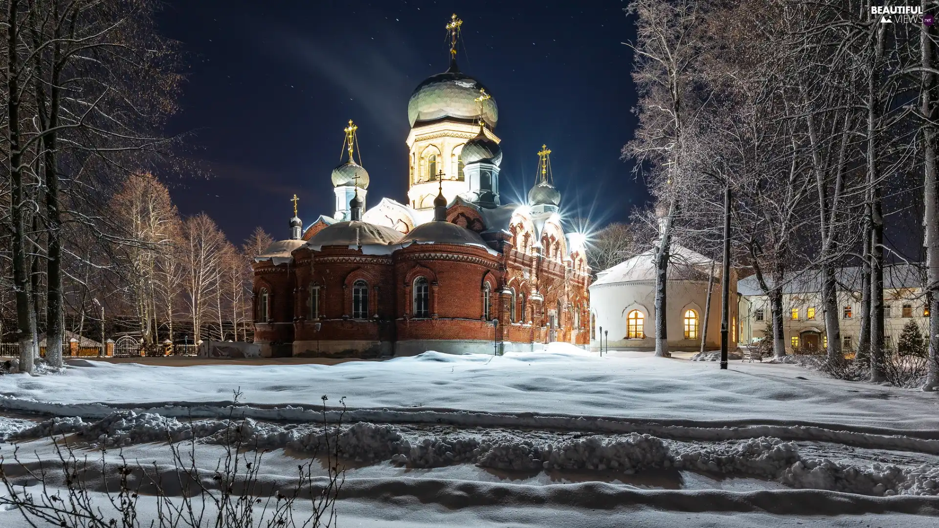 trees, winter, illuminated, Cerkiew, viewes, Night