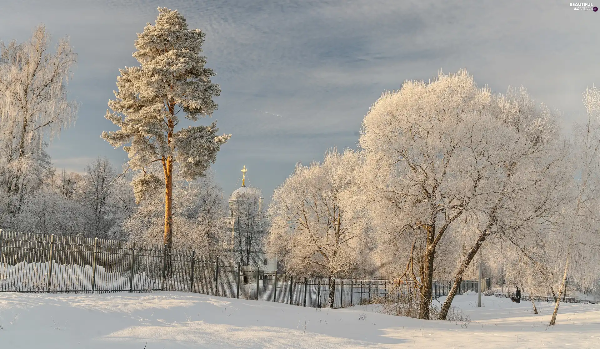 fence, Cerkiew, trees, viewes, winter