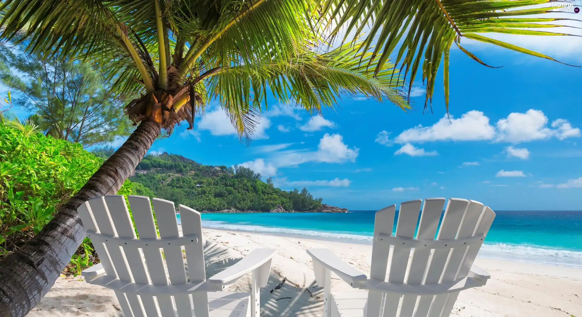 deck chair, Palms, Tropical, Beaches