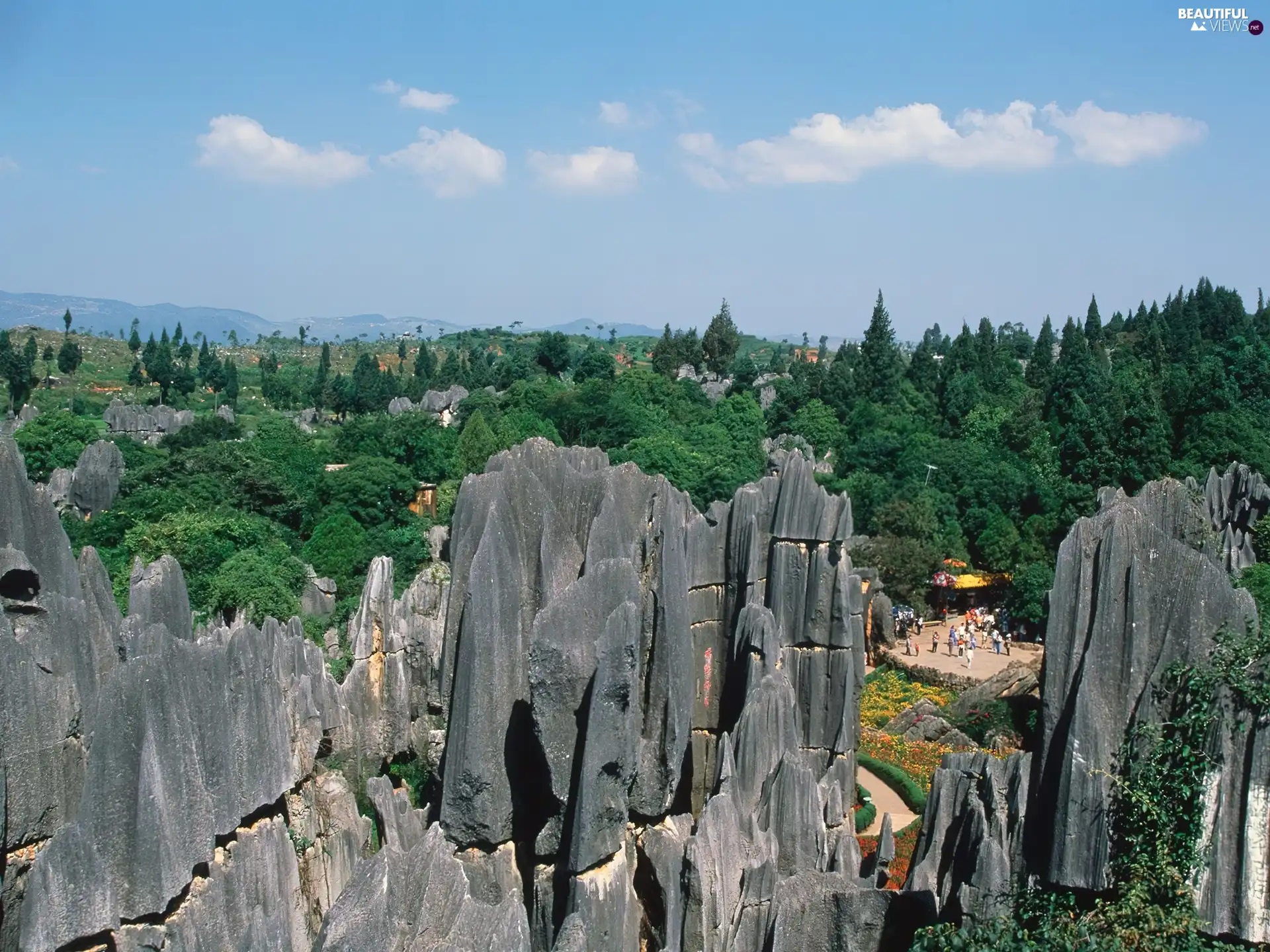 China, stone, forest