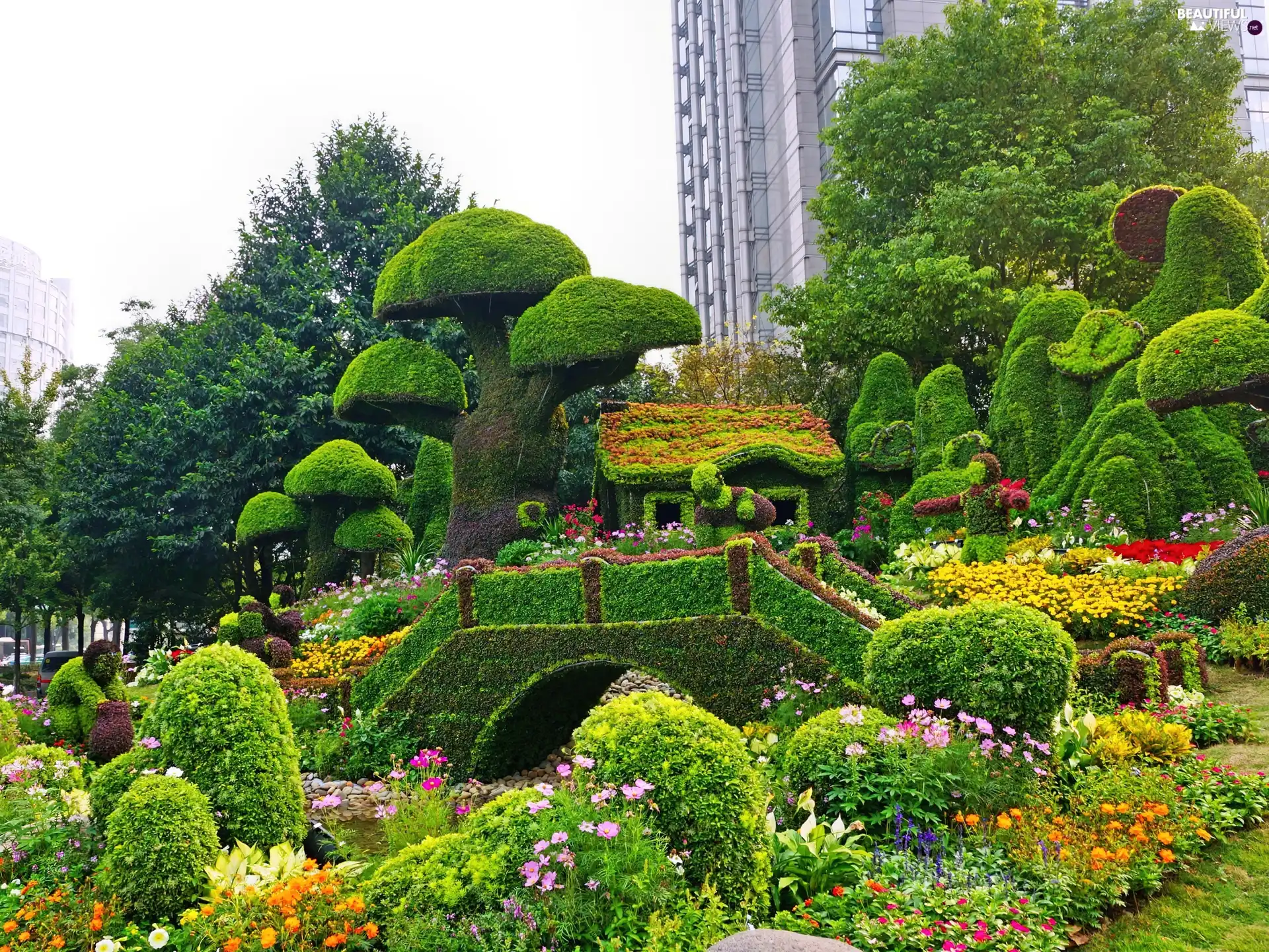 Garden, Hedge, China, ornamental