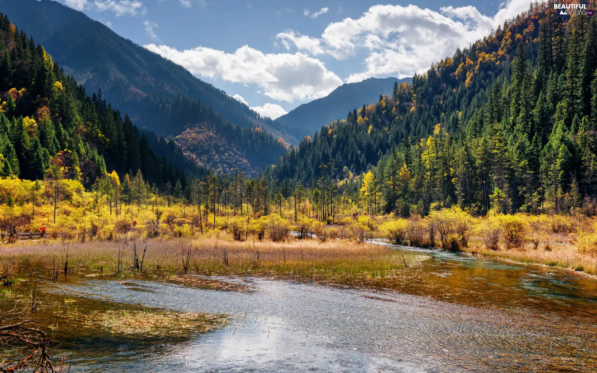 autumn, River, trees, Jiuzhaigou National Park, viewes, Mountains, woods, China, VEGETATION, Bush