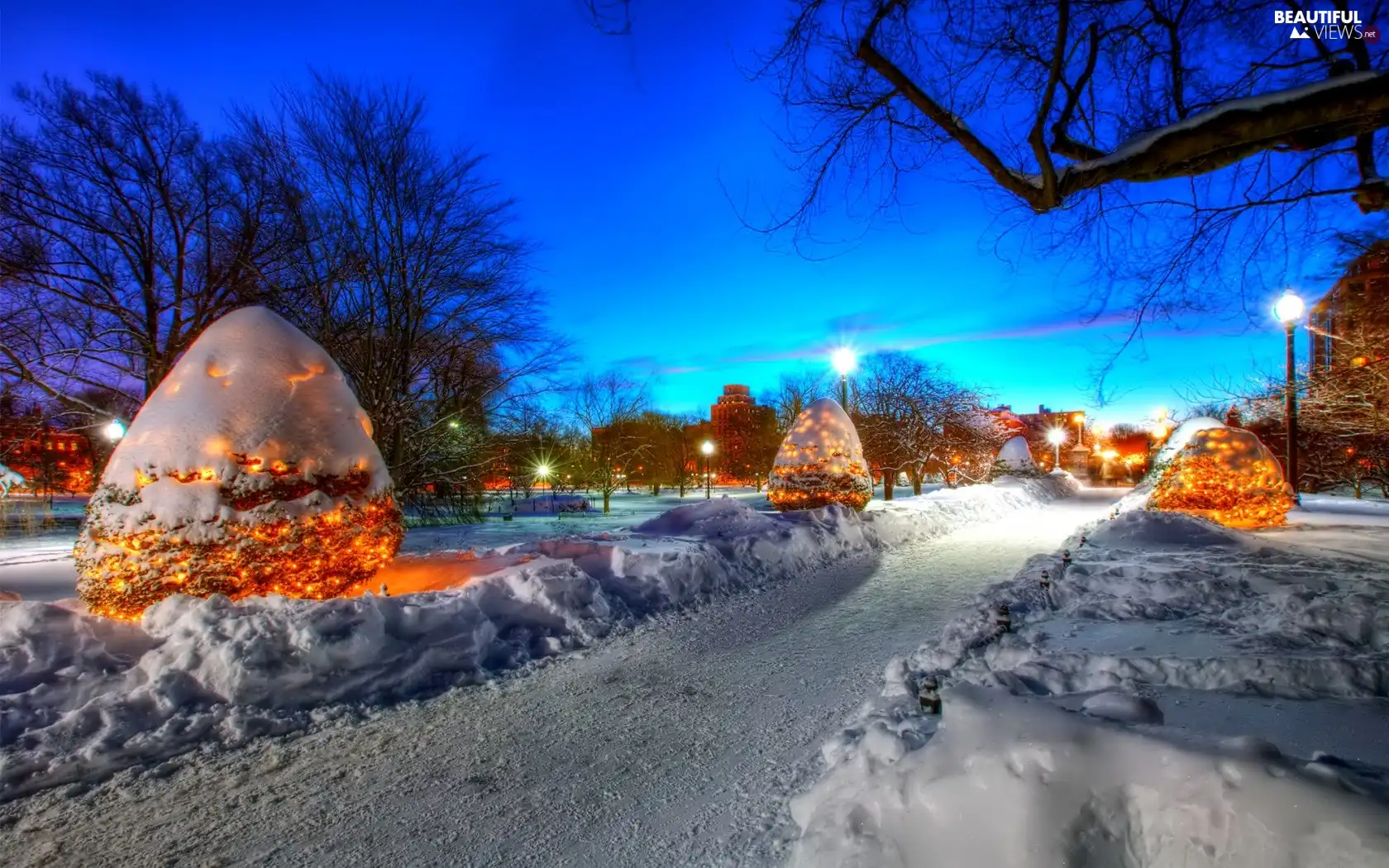 winter, Way, Christmas, Park