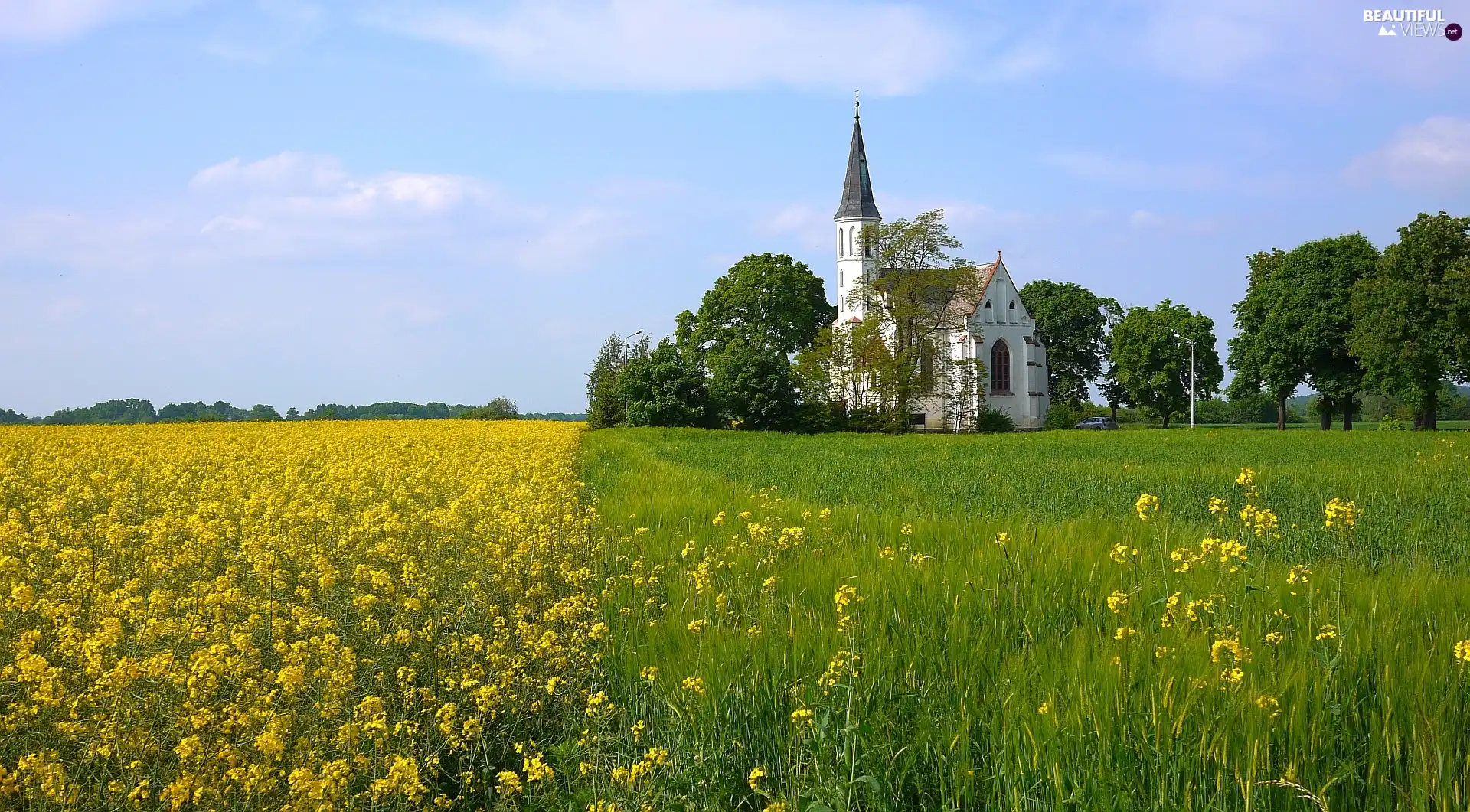 Church, Field, rape