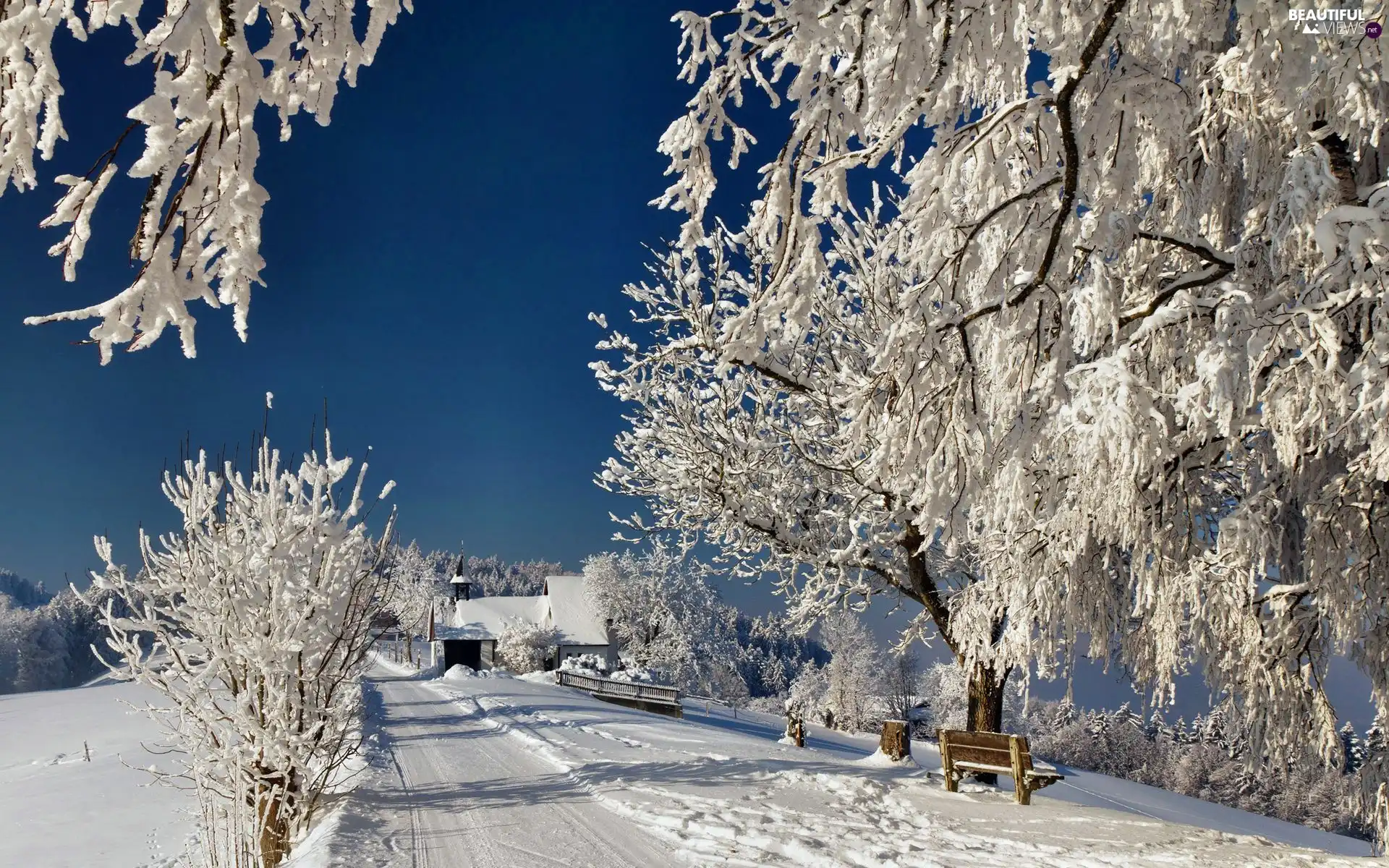 Way, viewes, church, trees