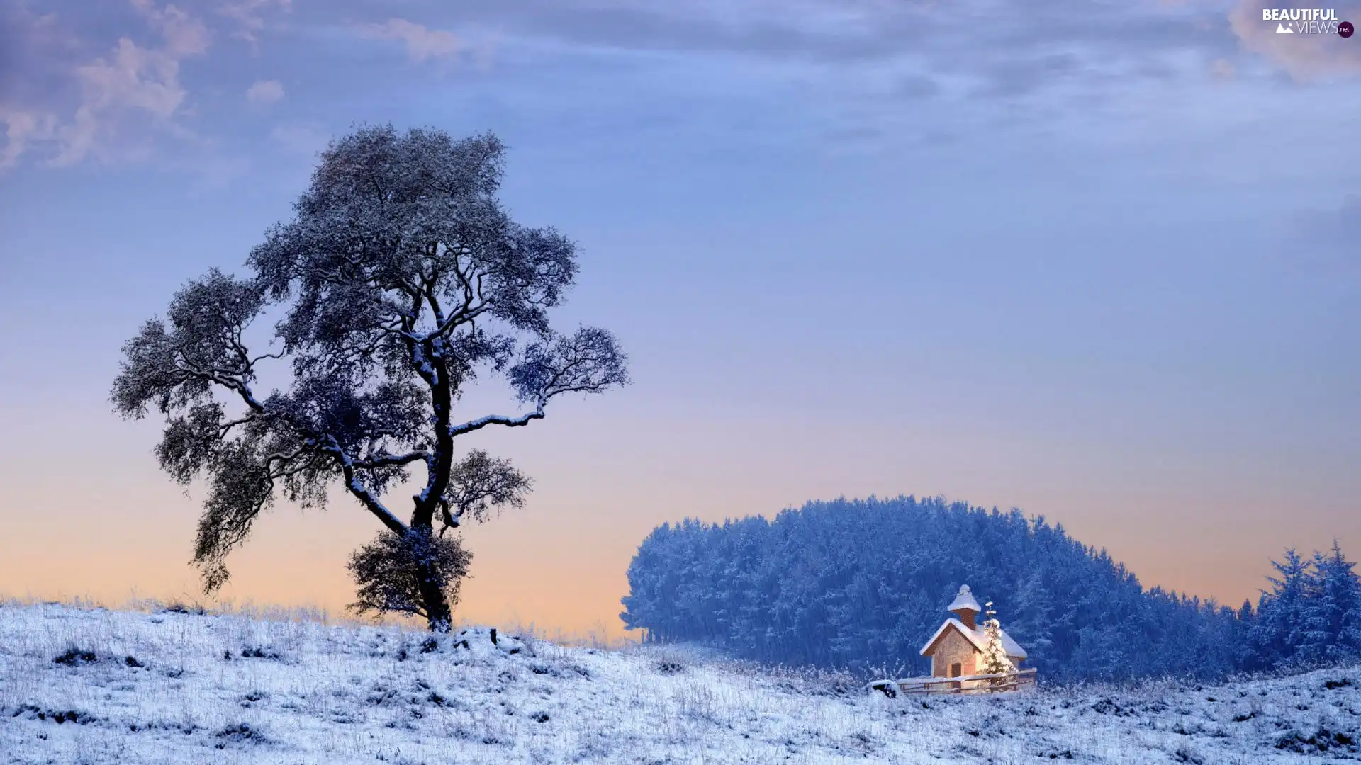 winter, trees, church, snow