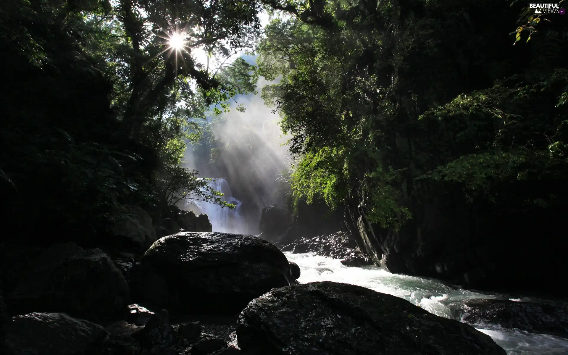 trees, River, The clear, sun, viewes, Stones