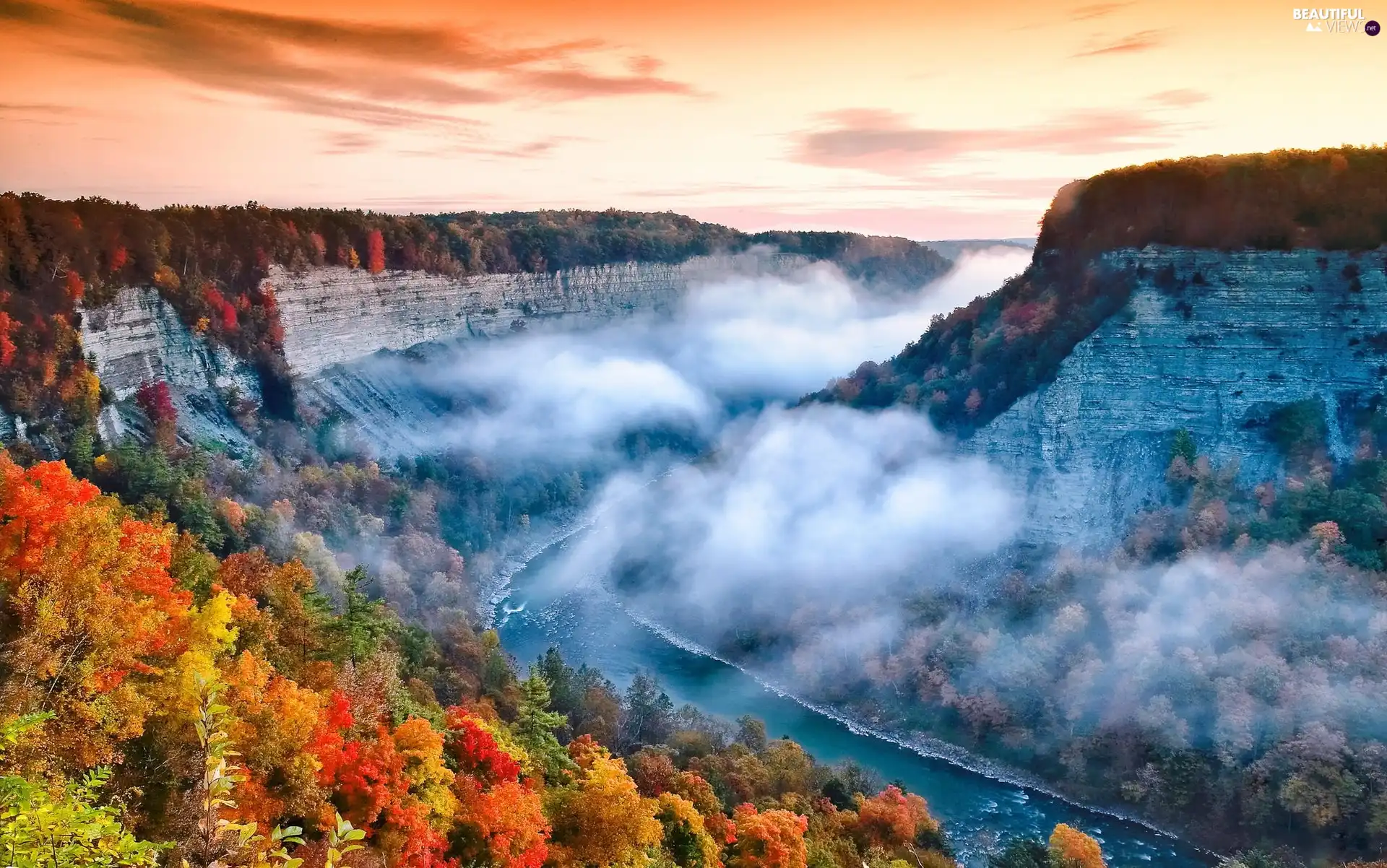 forest, Fog, Cliffs, River