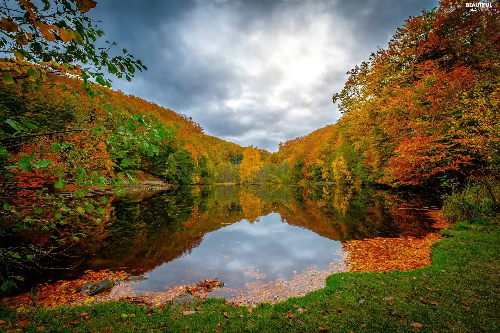 trees, lake, Leaf, clouds, viewes, autumn