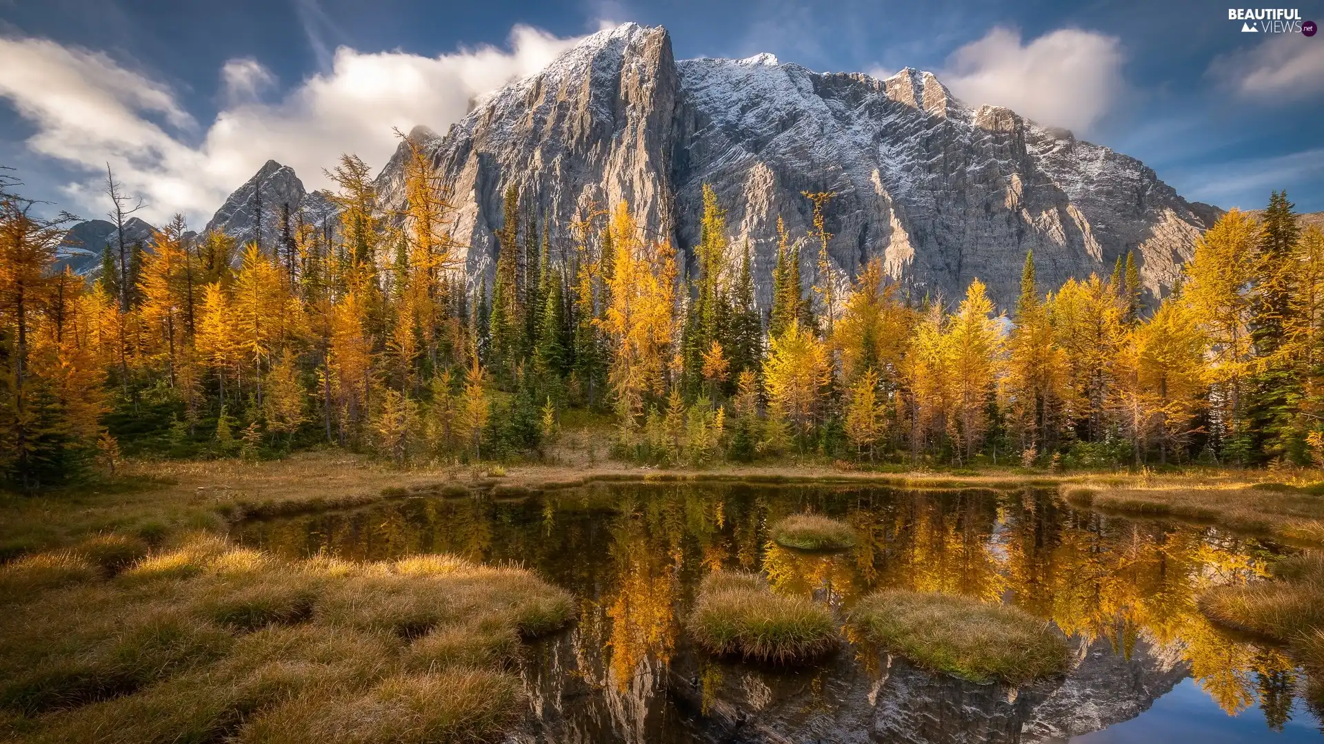 viewes, Mountains, autumn, clouds, Pond - car, trees