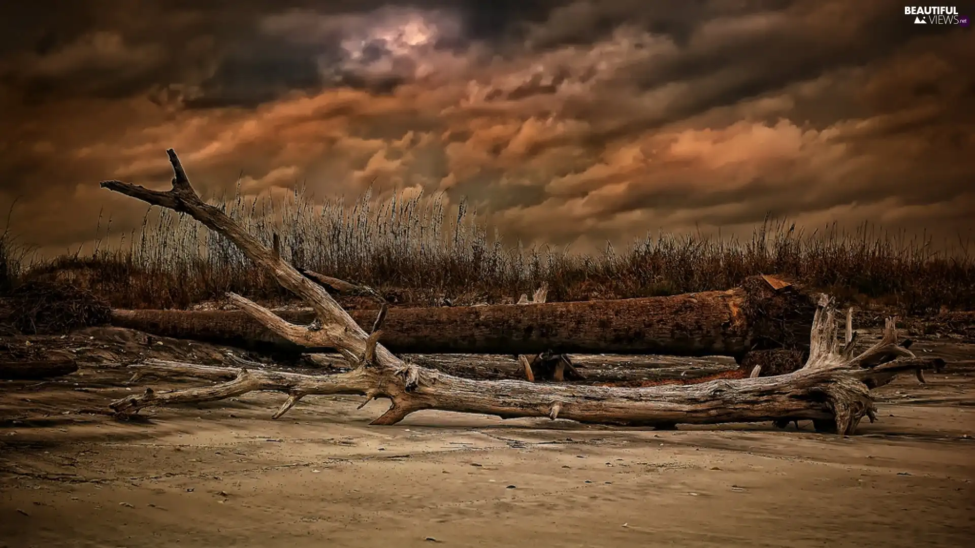 clouds, Coast, Beaches