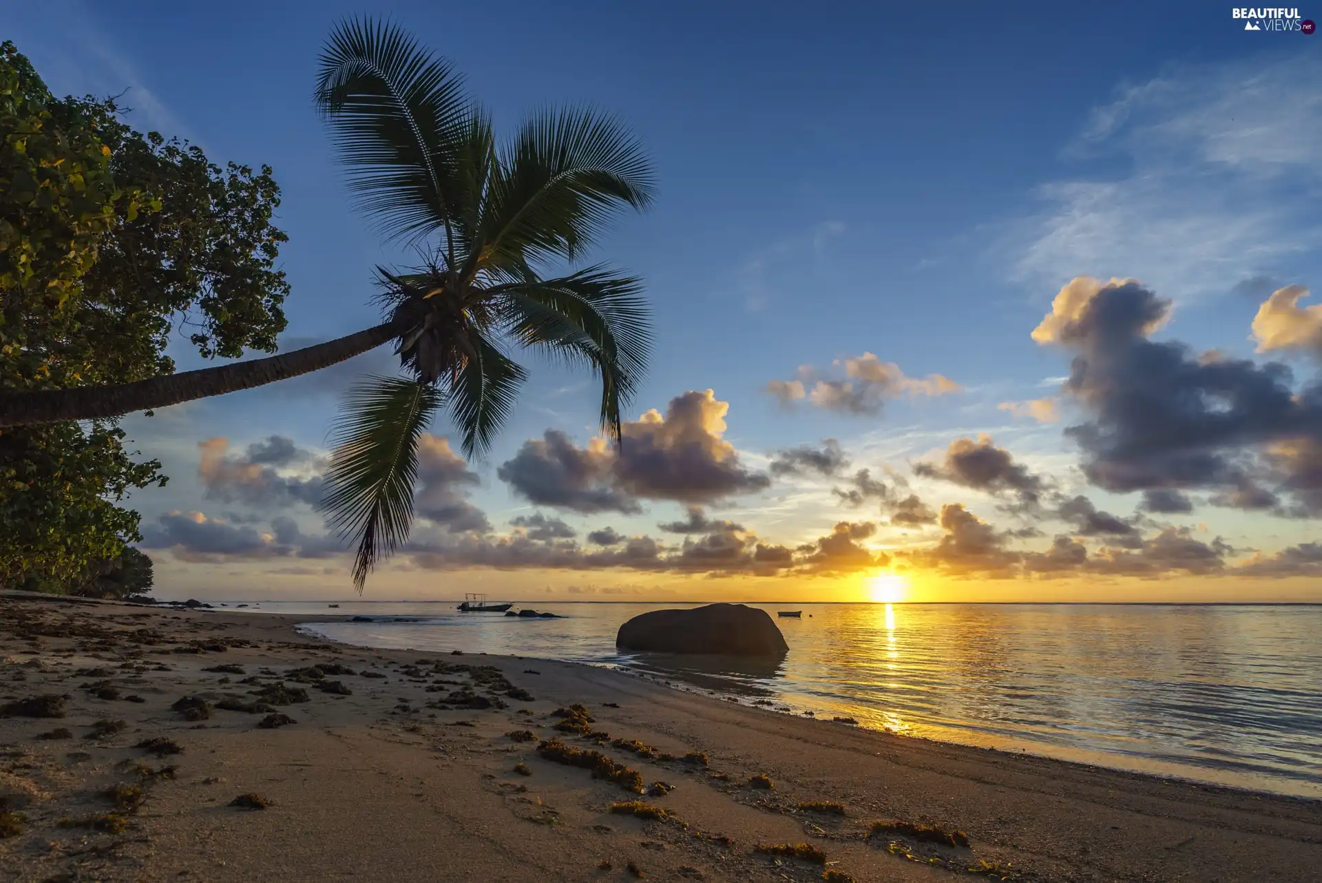 Sunrise, clouds, Beaches, Palm, sea