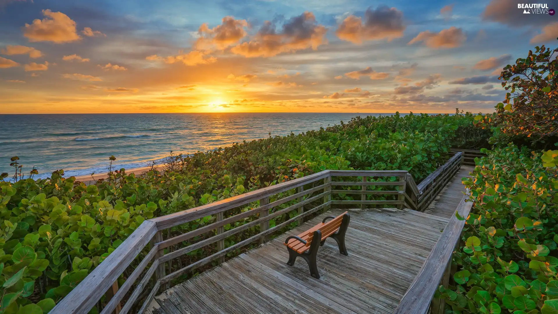 Platform, sea, Sunrise, clouds, VEGETATION, Bench