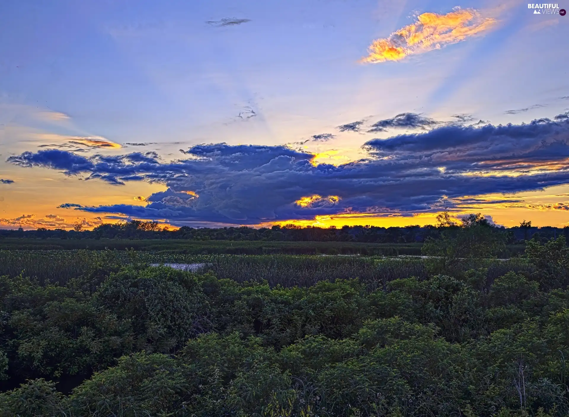 clouds, lake, Bush